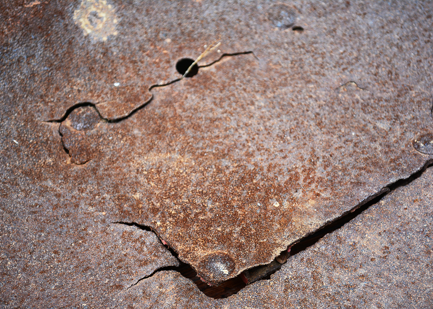 Trunk and Workshop Ephemera