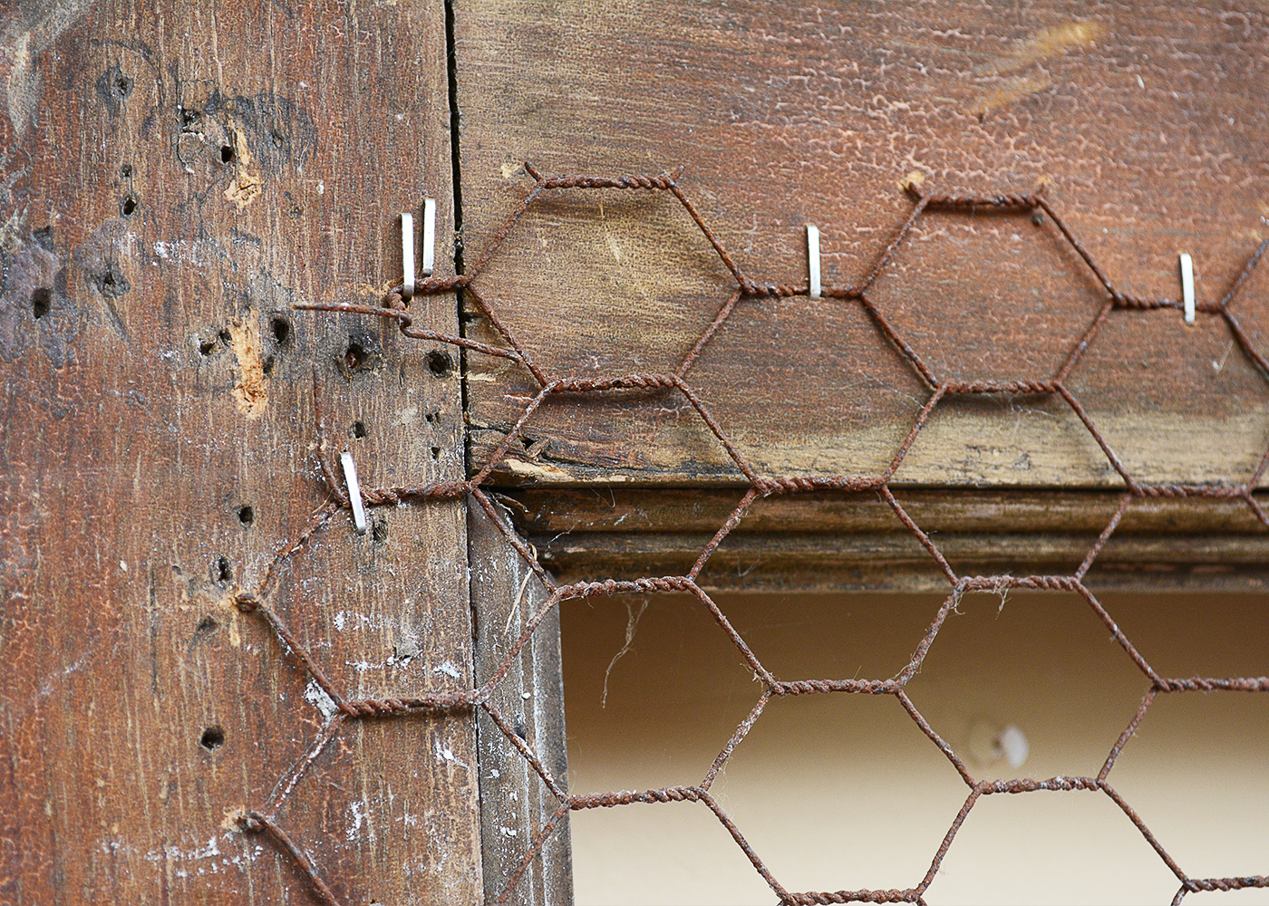 Antique Wood Door Frame with Lace Curtains