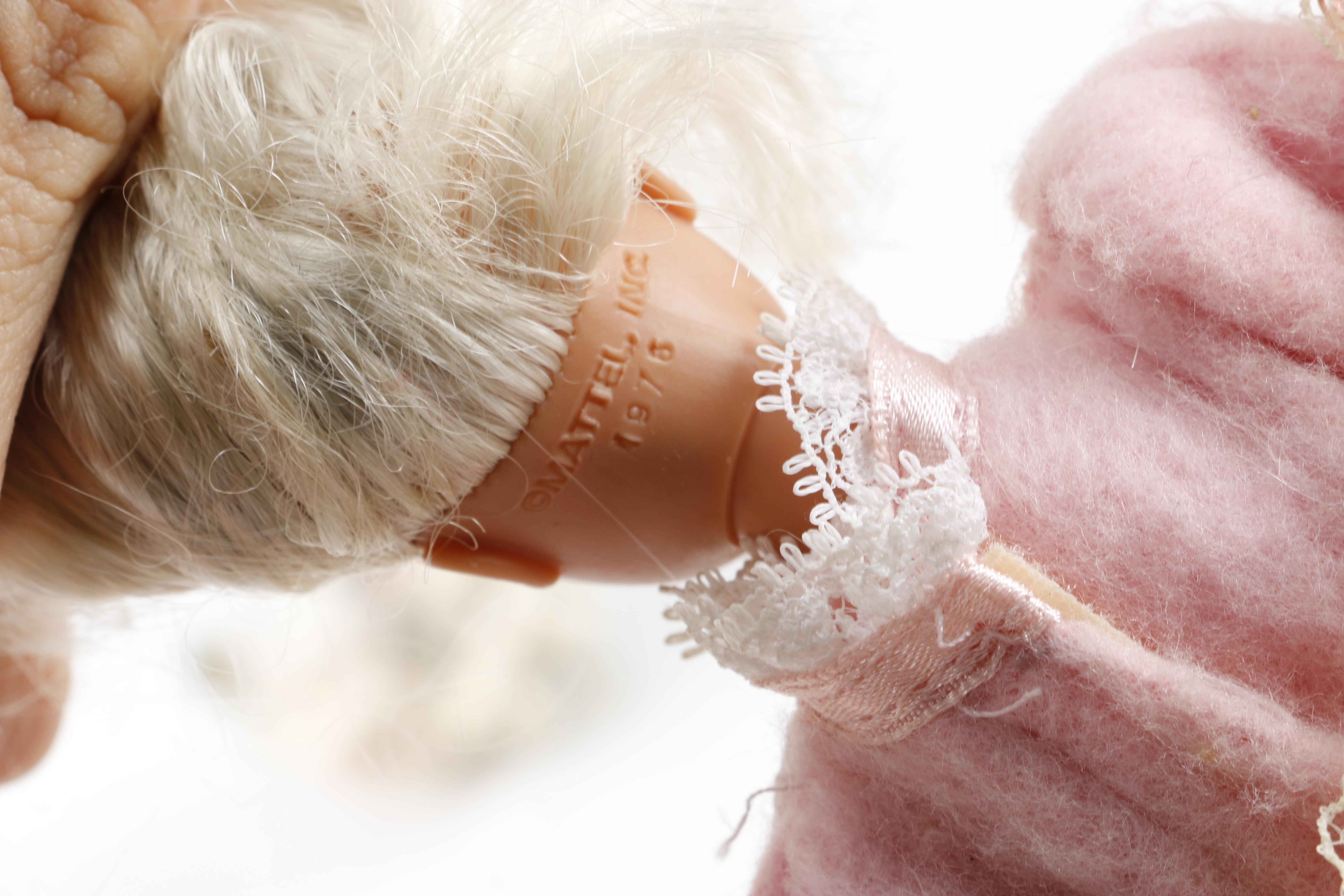 Barbie Dolls and Accessories