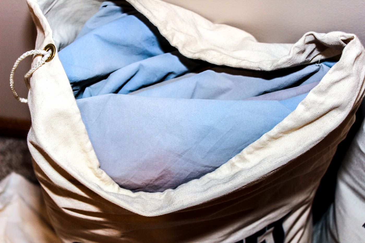 Calumet Photography Backdrops and Model Seating