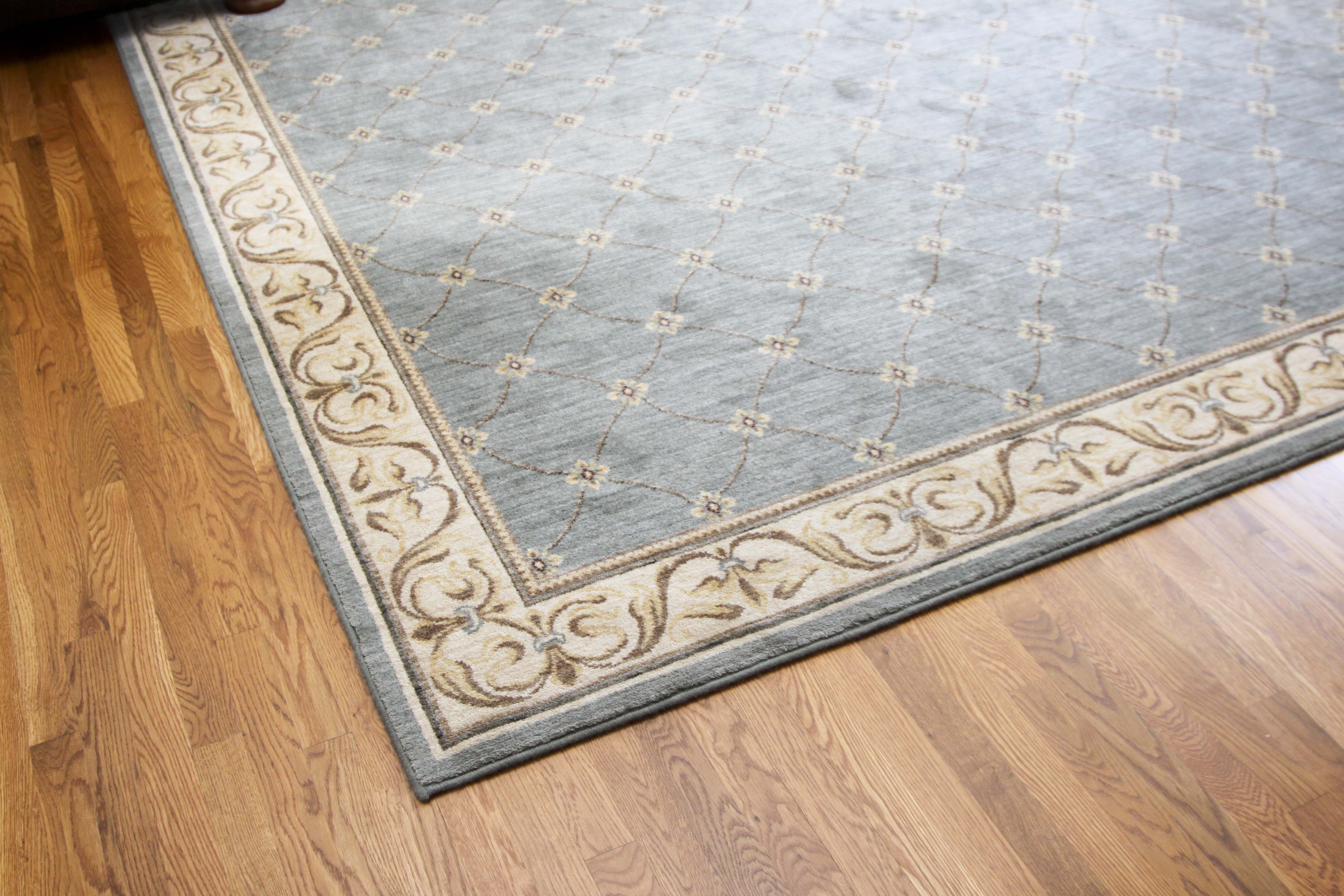 * Unlistable * Light Blue Area Rug