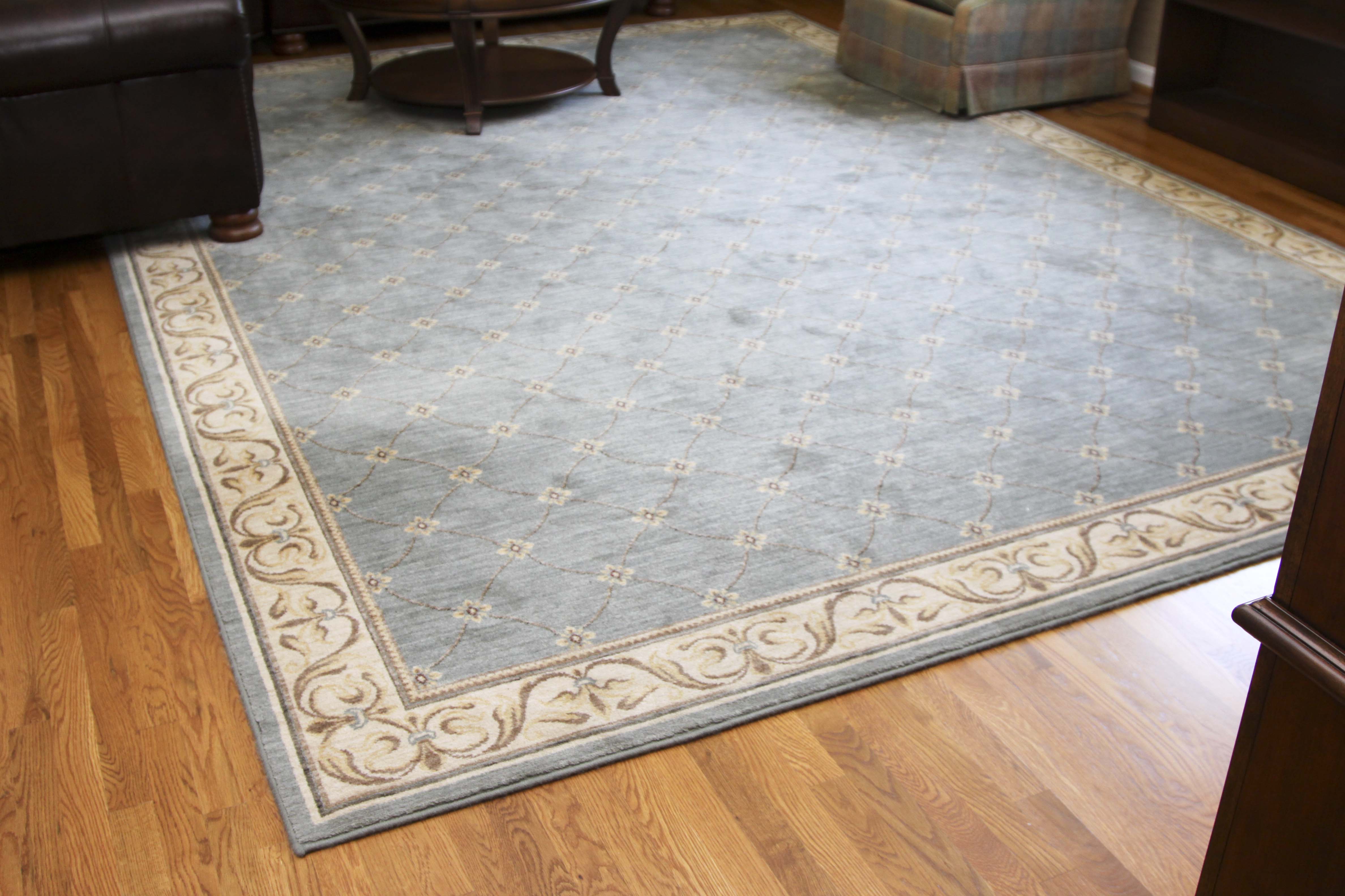 * Unlistable * Light Blue Area Rug