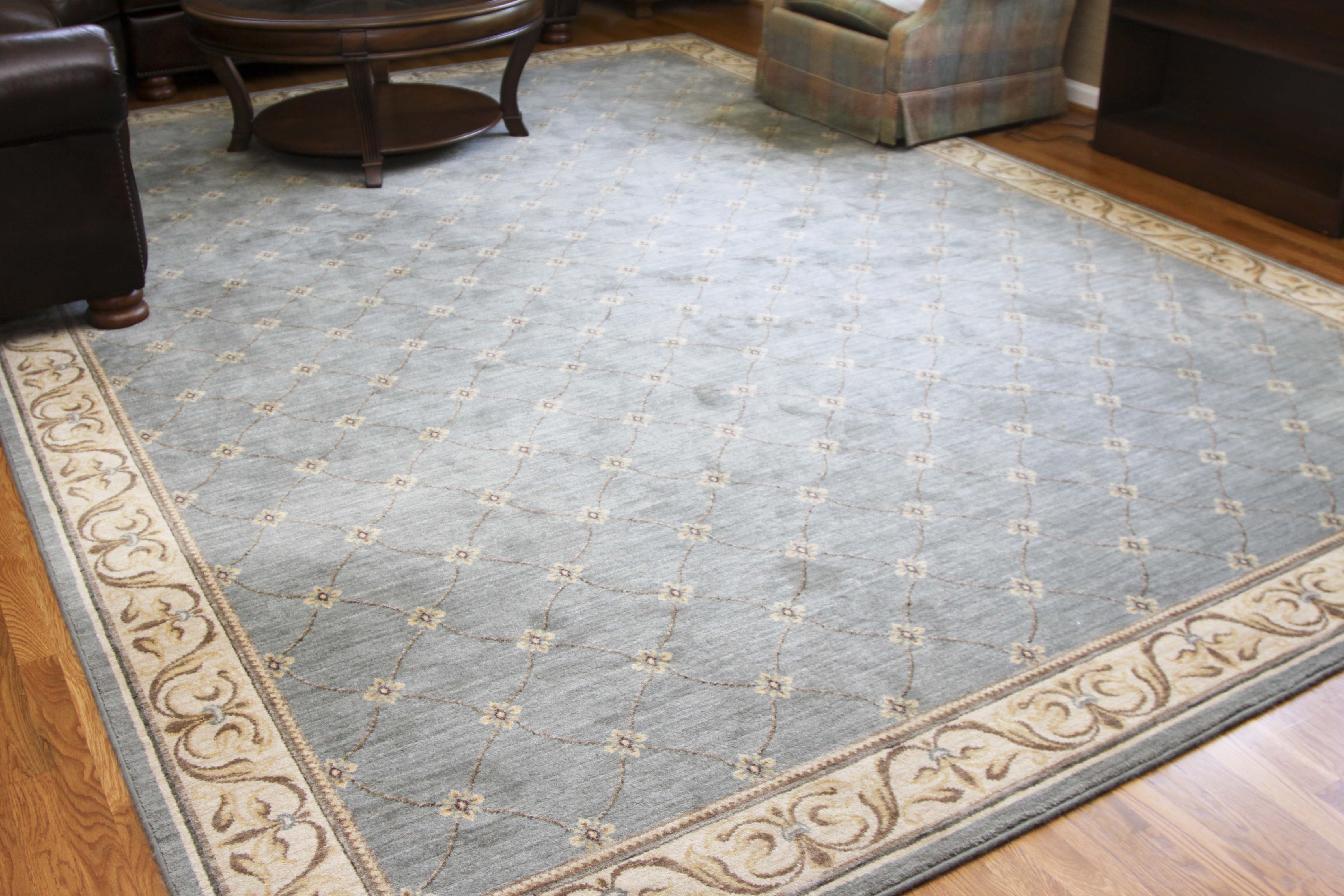 * Unlistable * Light Blue Area Rug