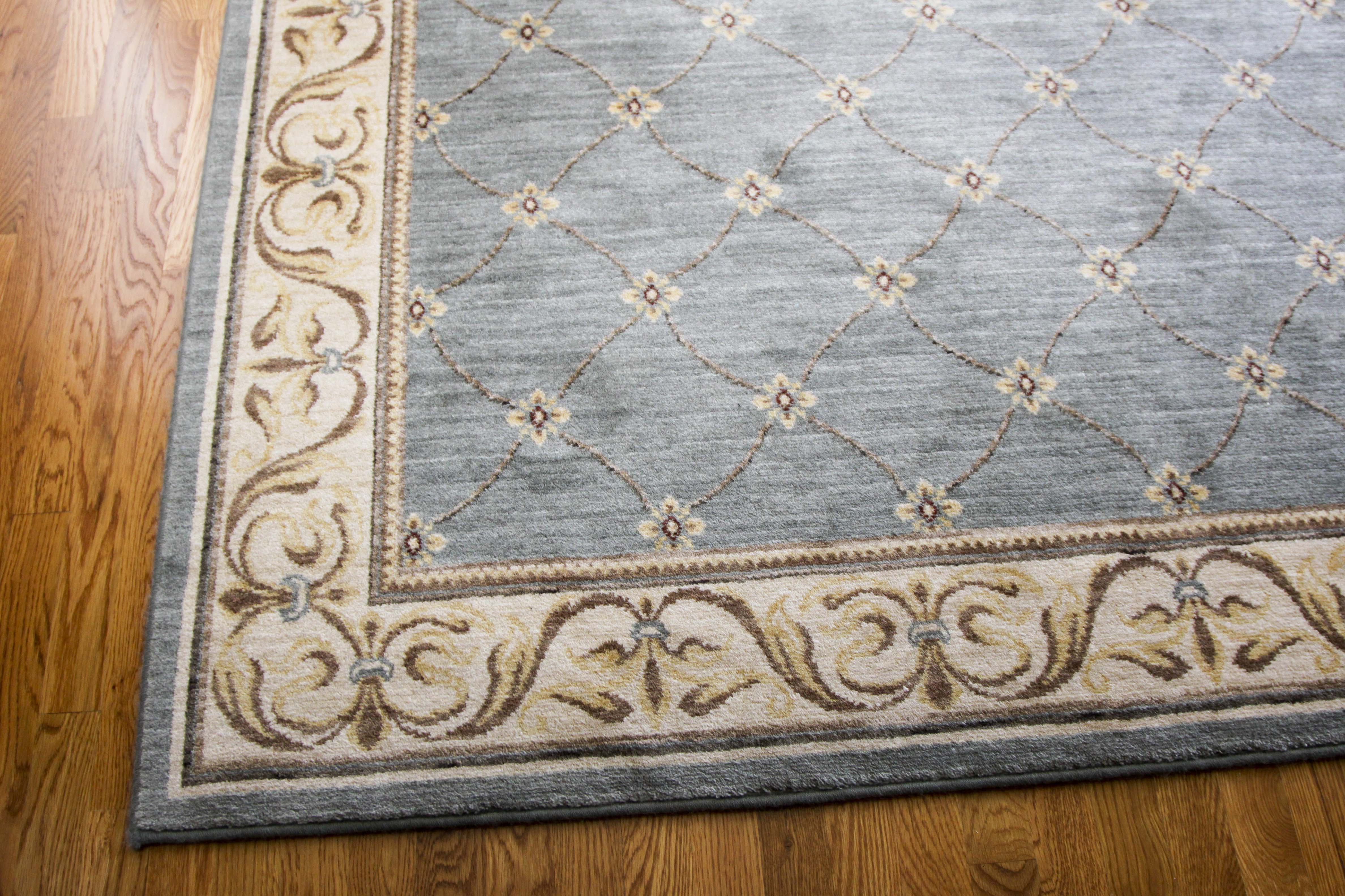 * Unlistable * Light Blue Area Rug