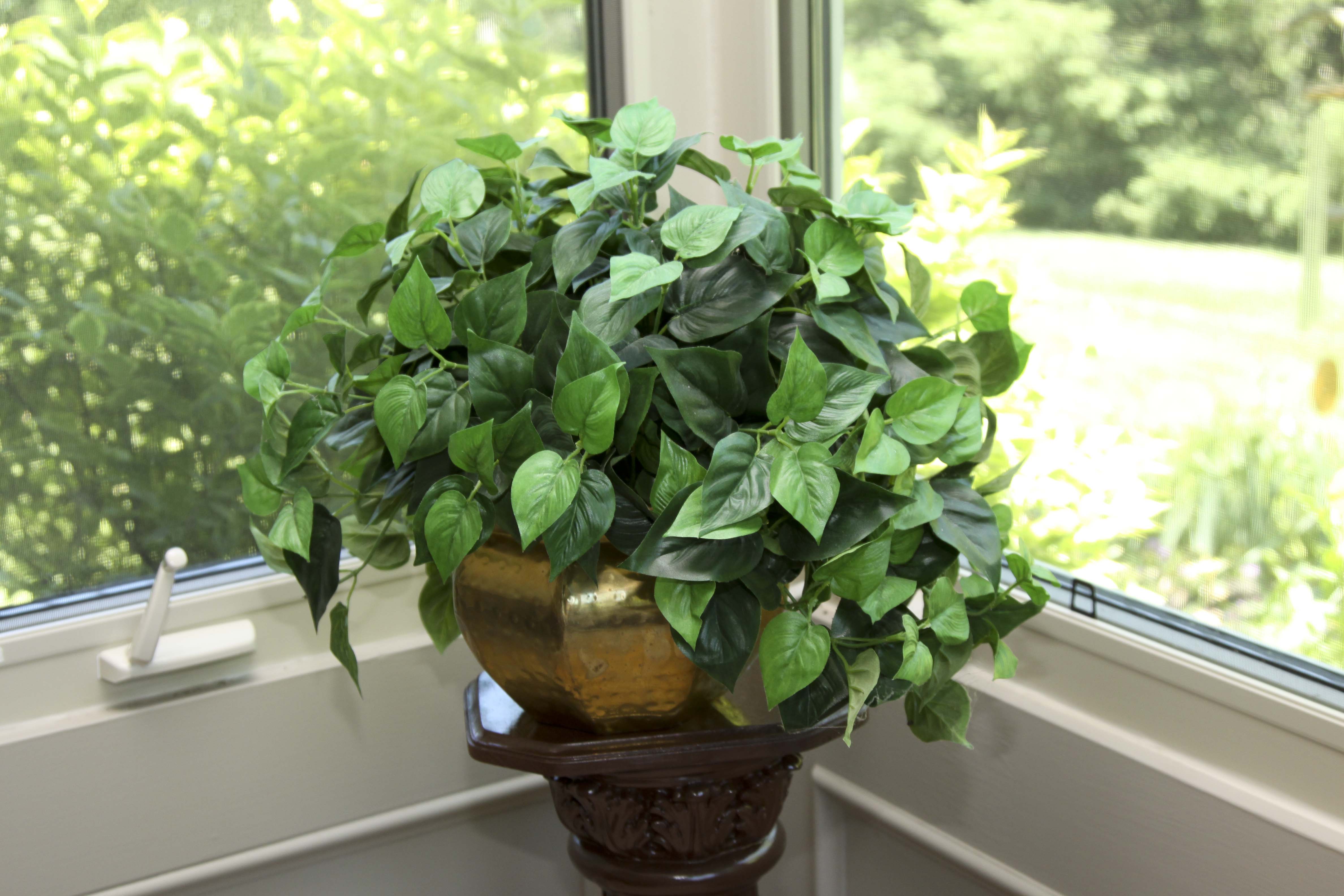 Home Decor Assortment