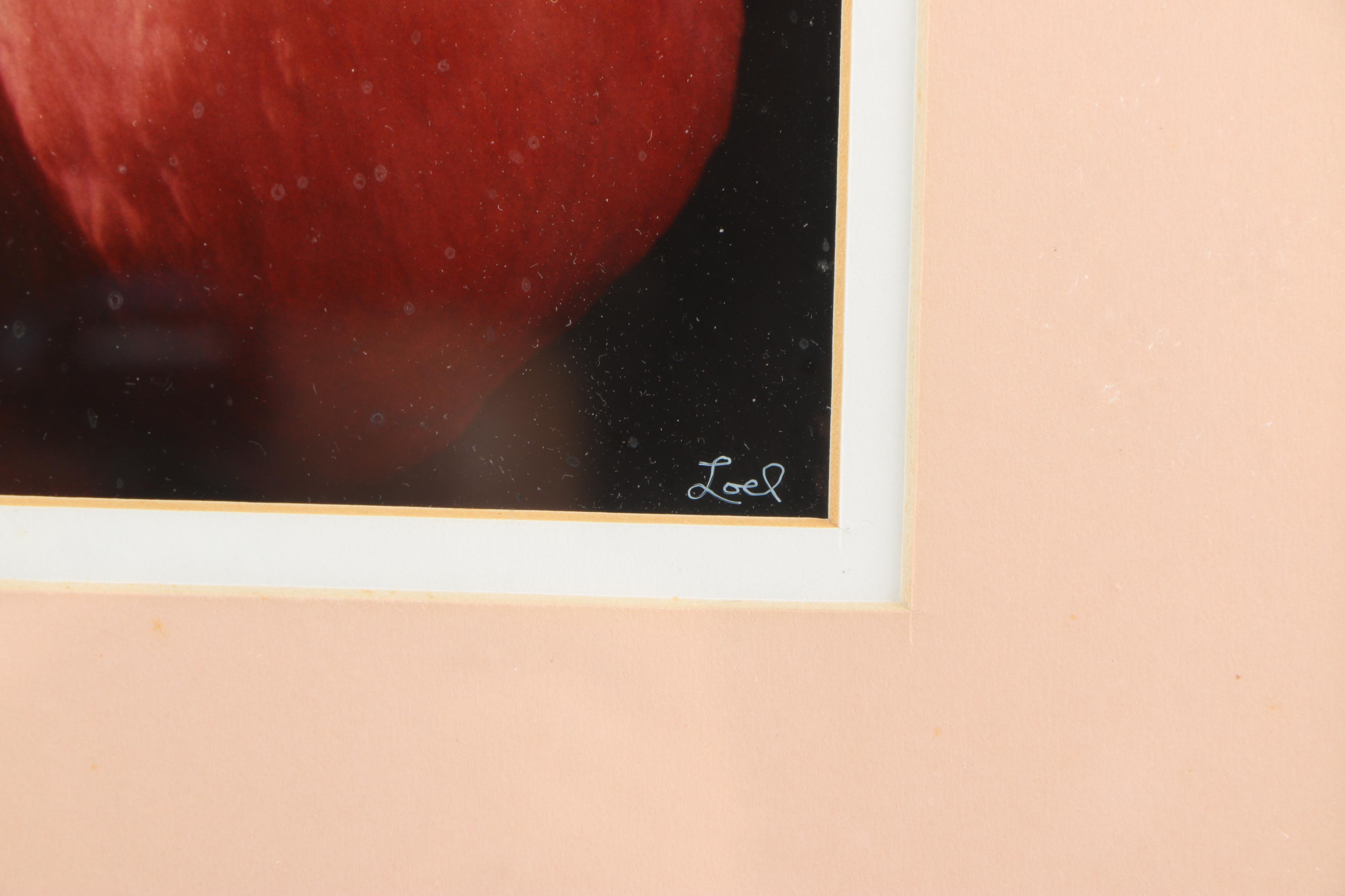 Loel Martin Limited Edition Photograph on Paper "New Flamingo Eye"