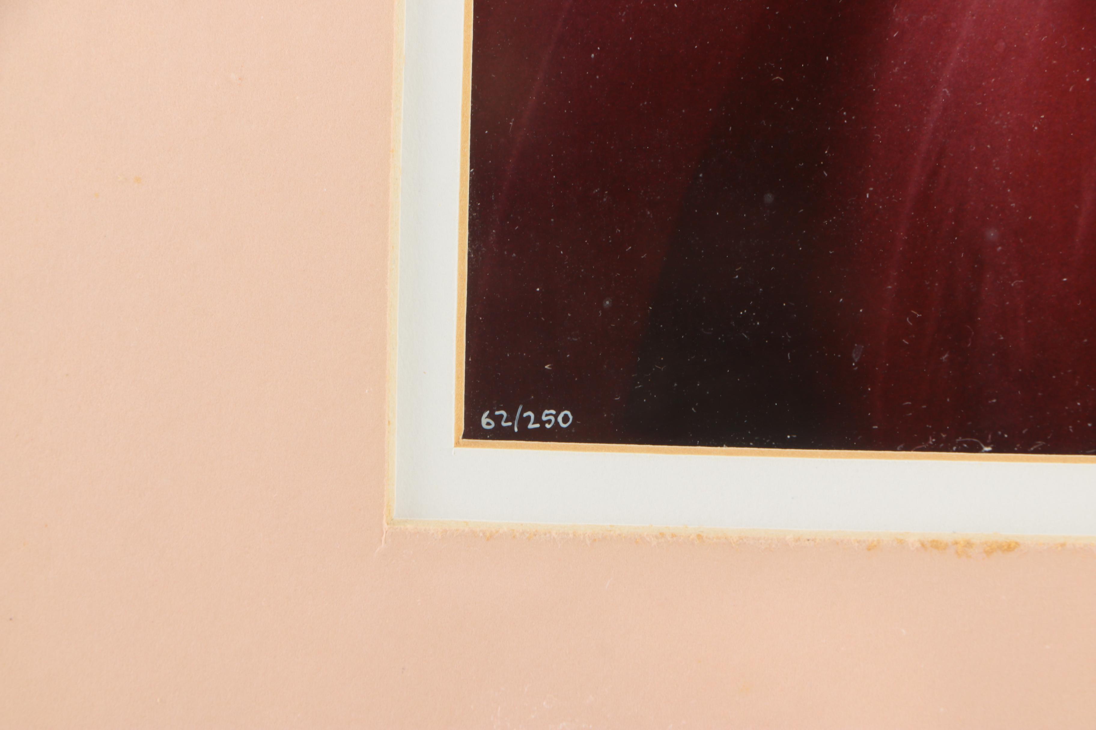 Loel Martin Limited Edition Photograph on Paper "New Flamingo Eye"