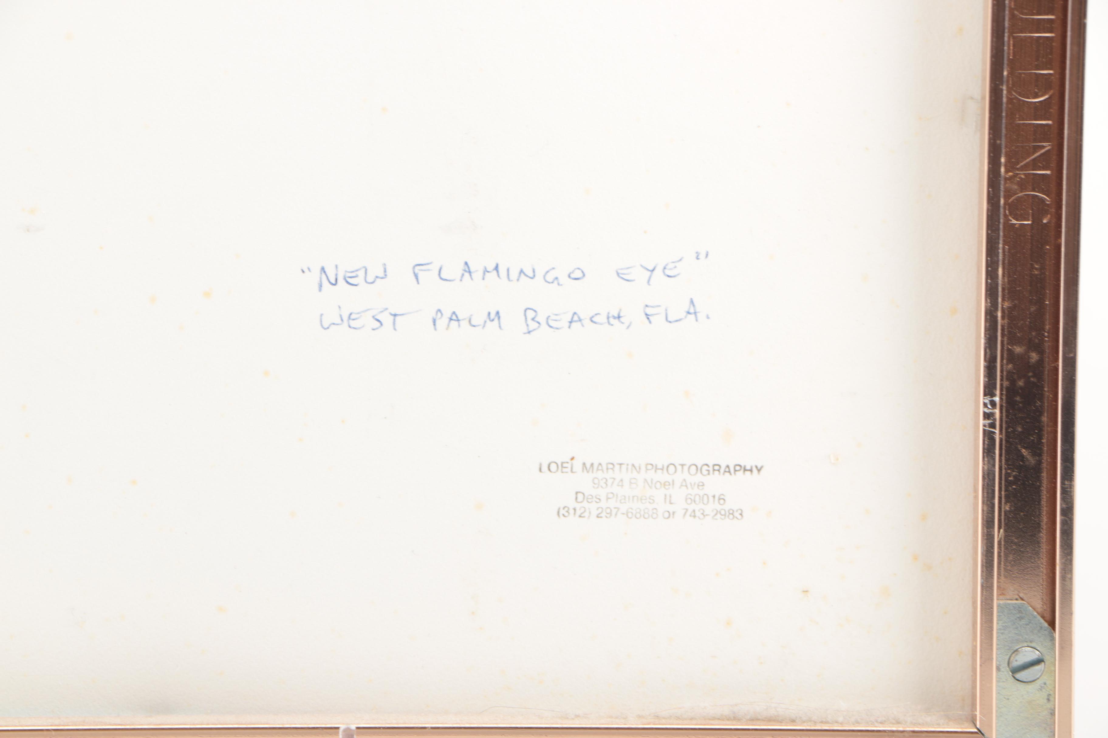 Loel Martin Limited Edition Photograph on Paper "New Flamingo Eye"