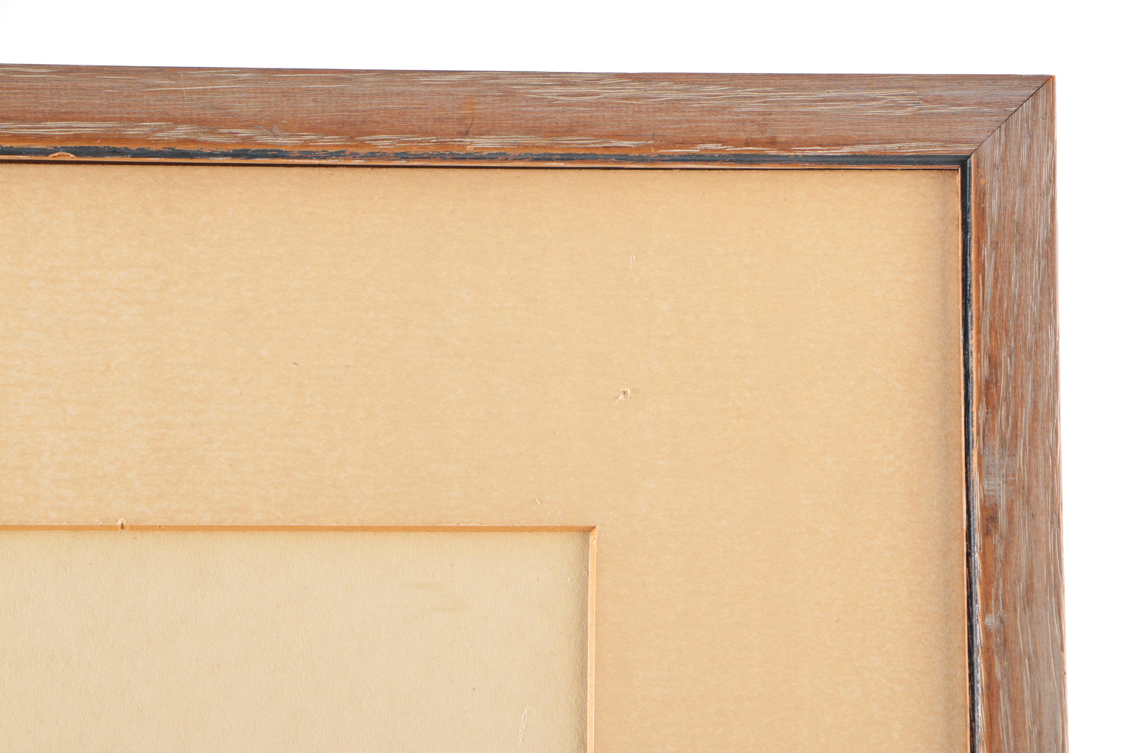 Reproduction Prints After Ornithological Illustrations by Gould and Peterson