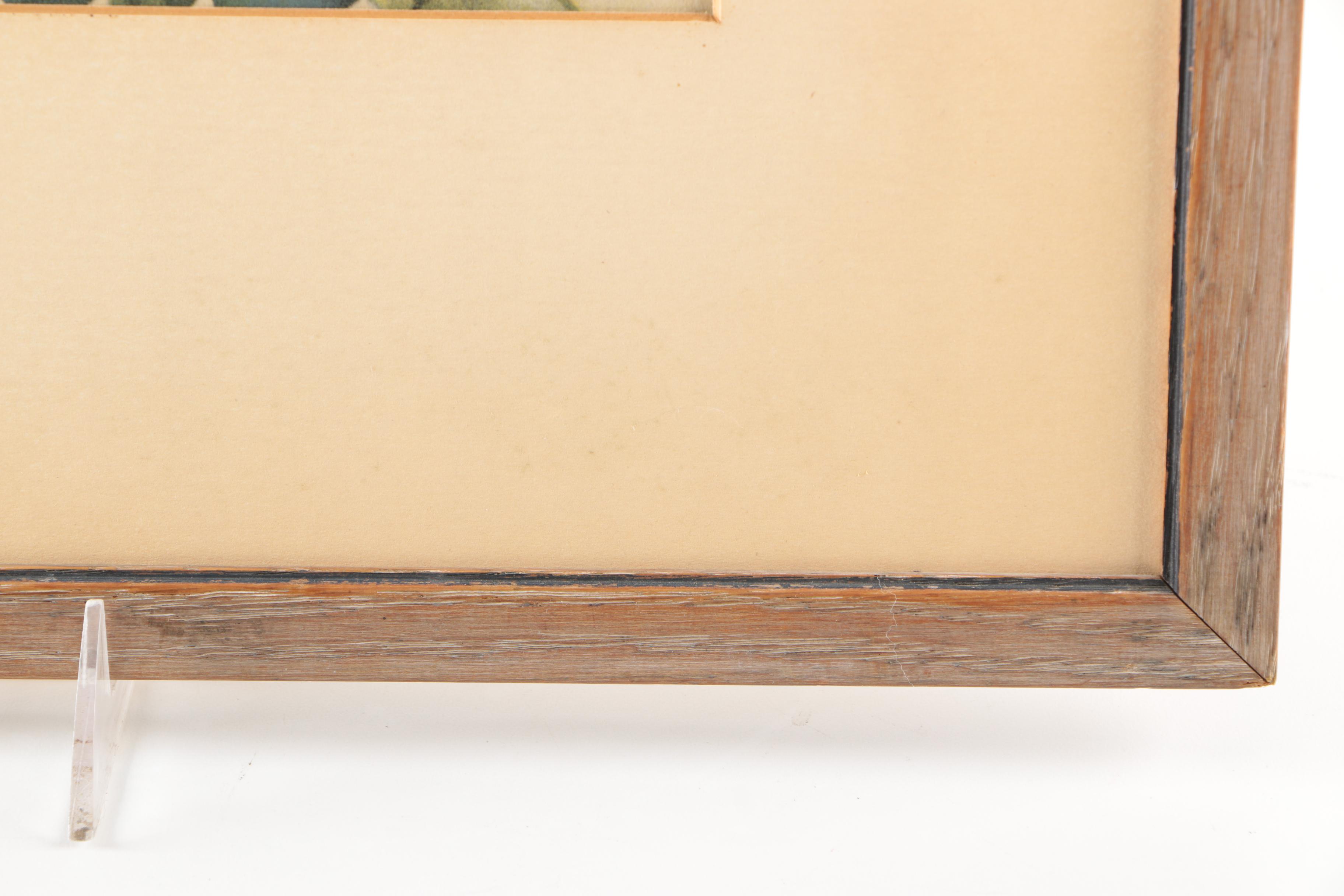 Reproduction Prints After Ornithological Illustrations by Gould and Peterson