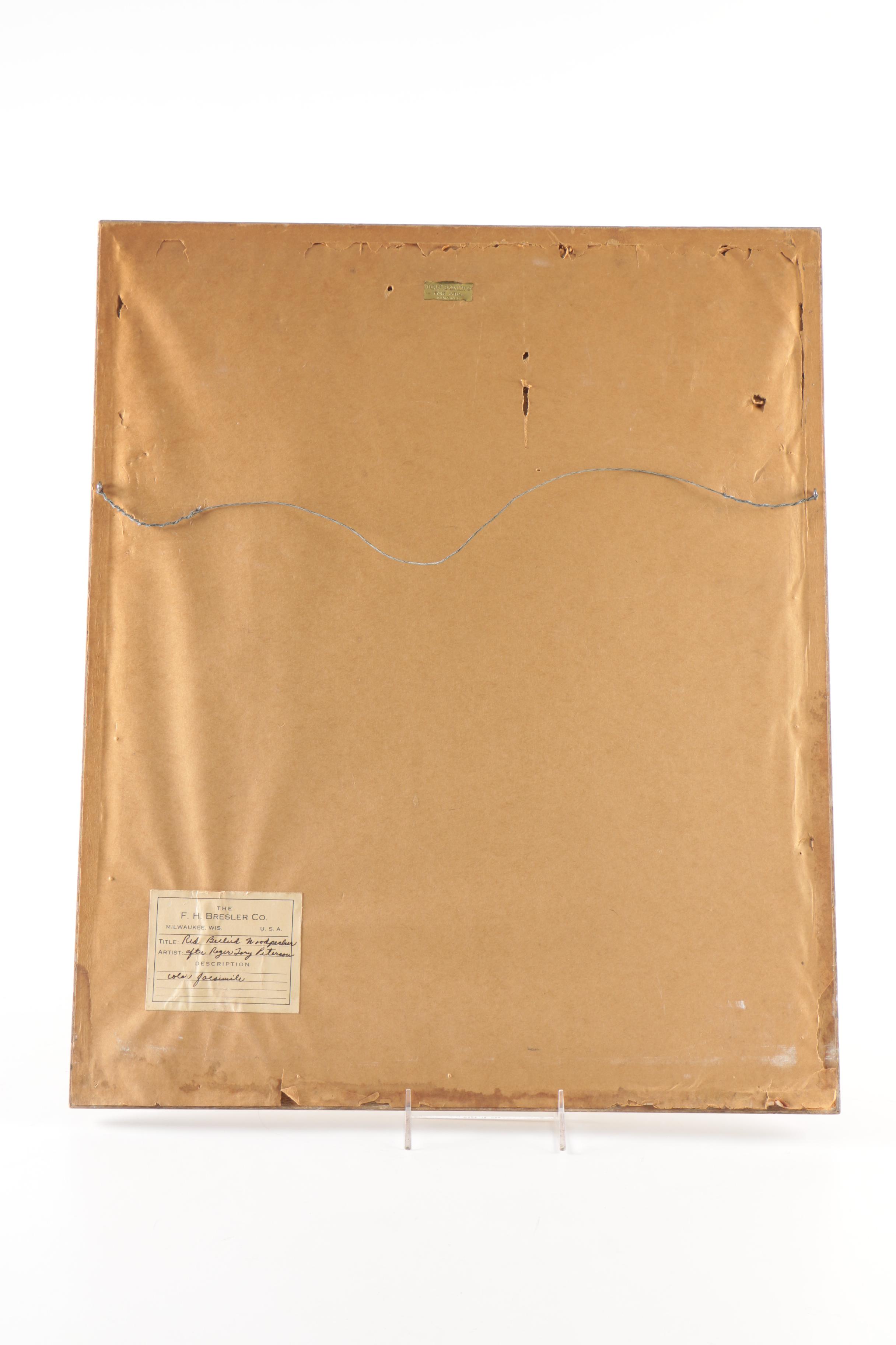 Reproduction Prints After Ornithological Illustrations by Gould and Peterson