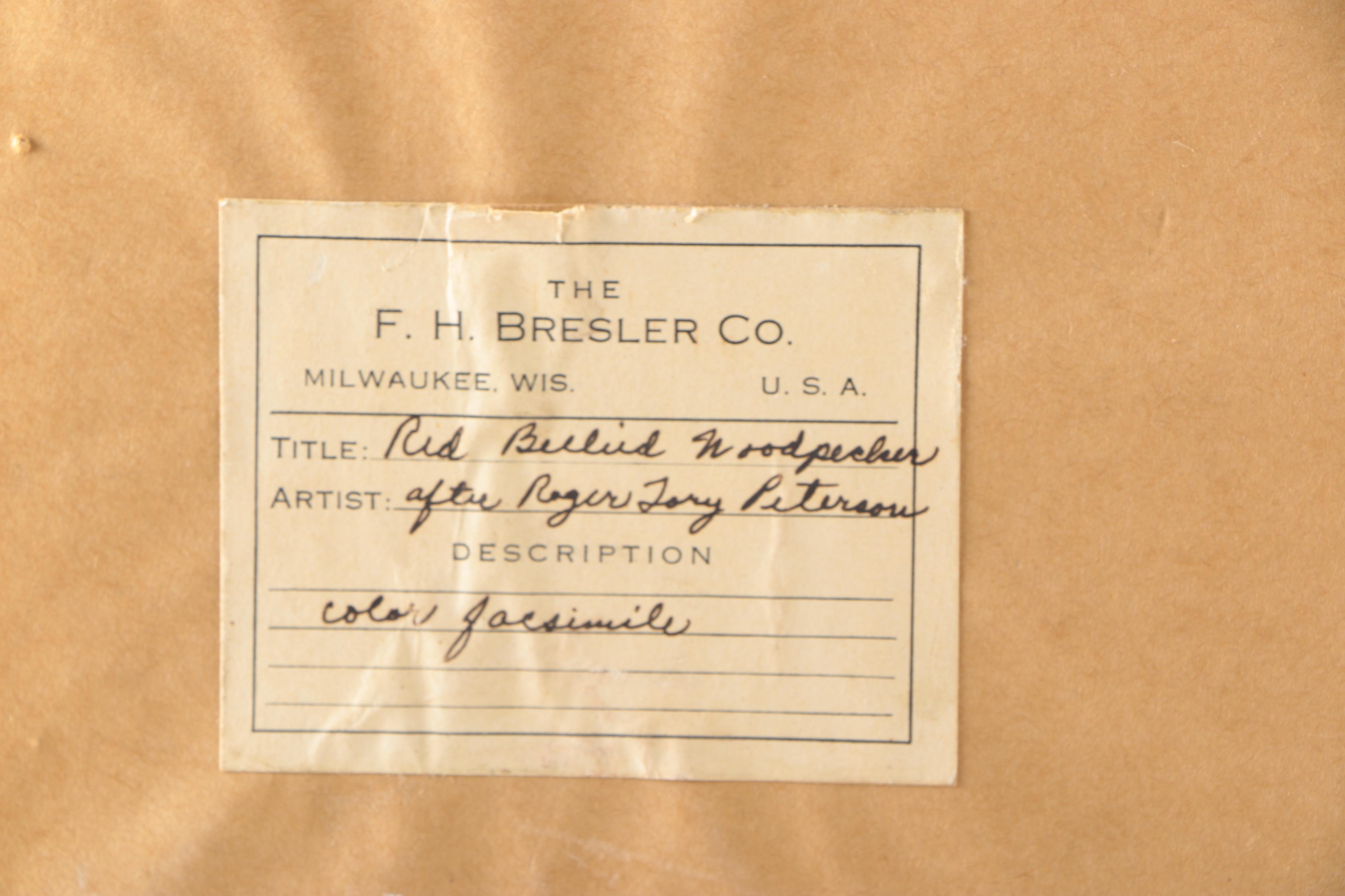 Reproduction Prints After Ornithological Illustrations by Gould and Peterson