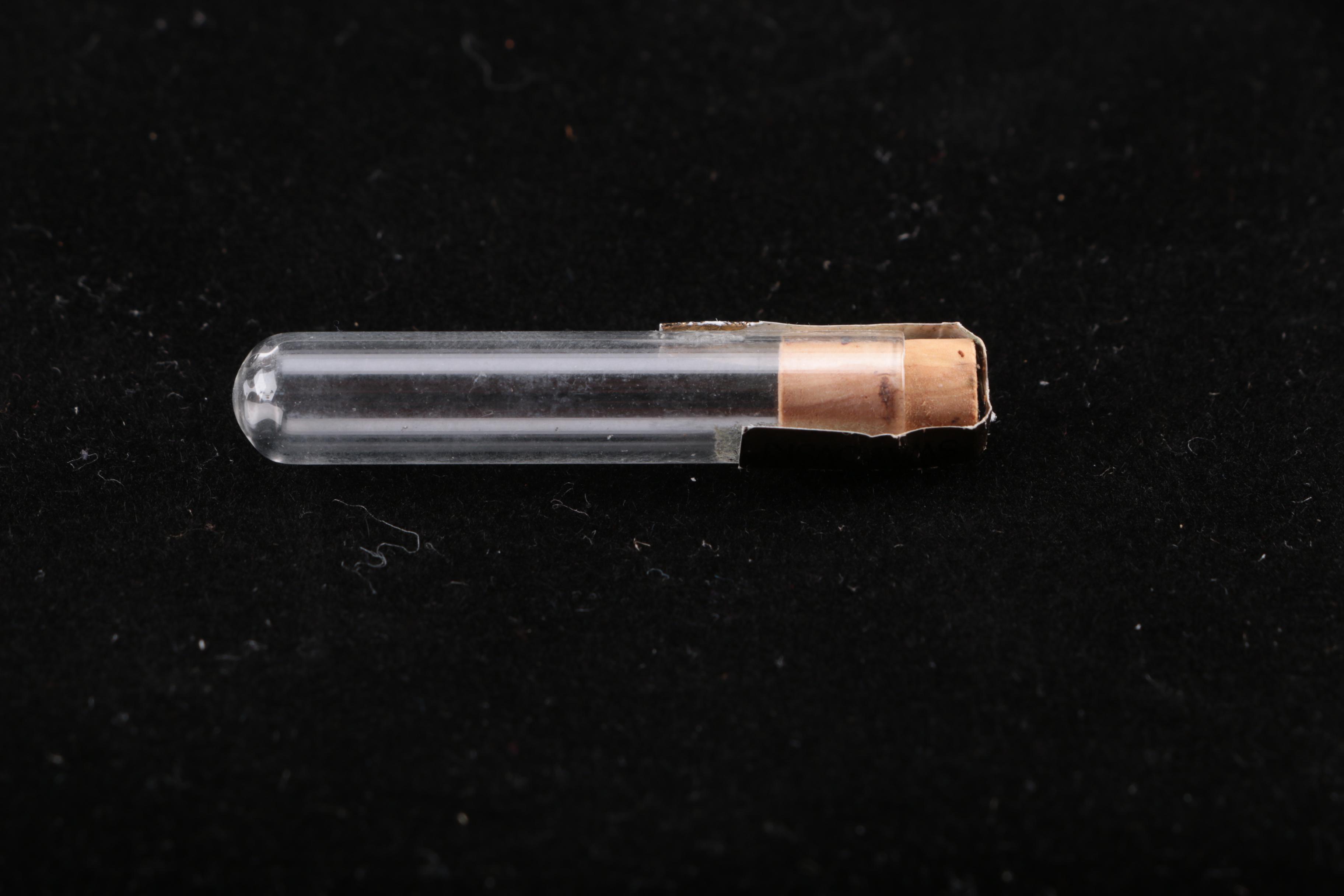 Swarovski Crystal Bird and Tulip Vase