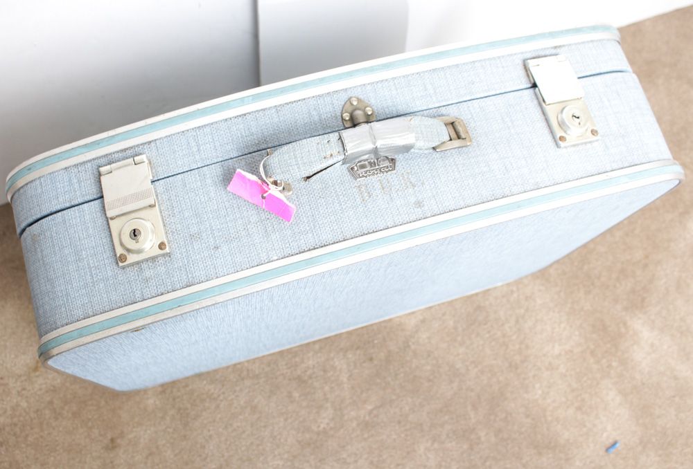 Bon Voyage Luggage Collection