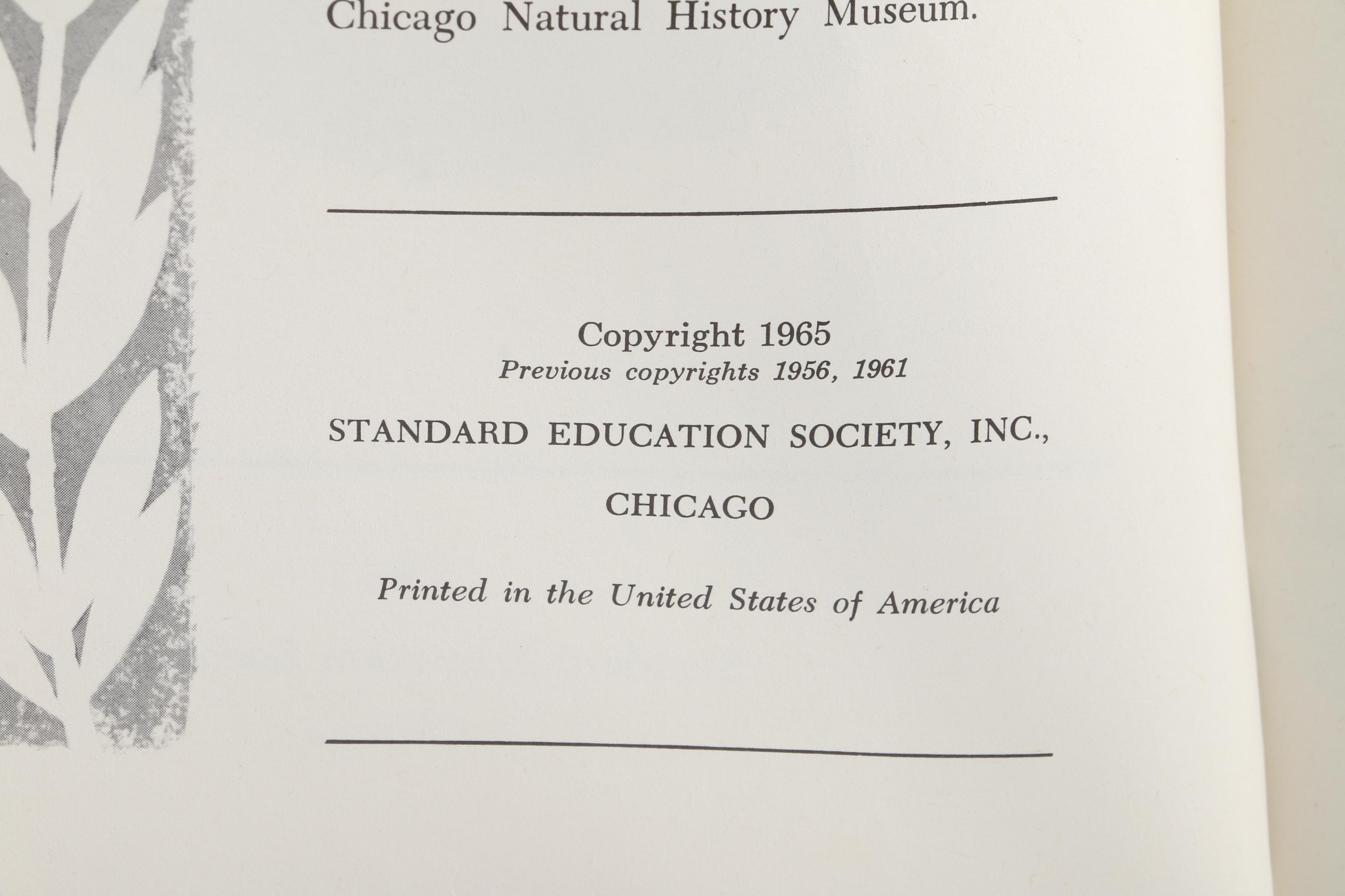 1960s-1970s Child Horizons Books