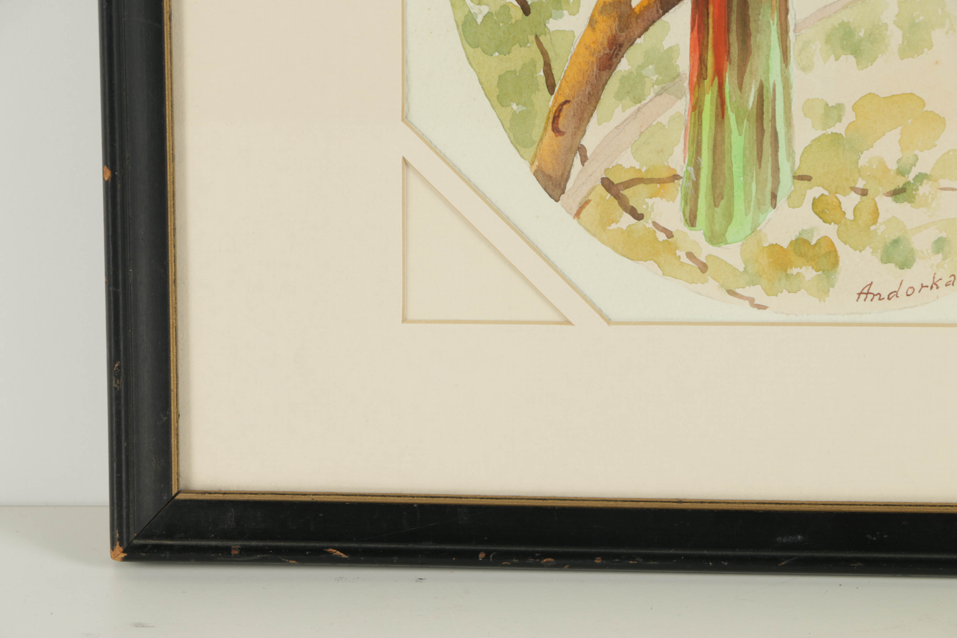 Andorka Watercolor Painting on Paper of a Parrot