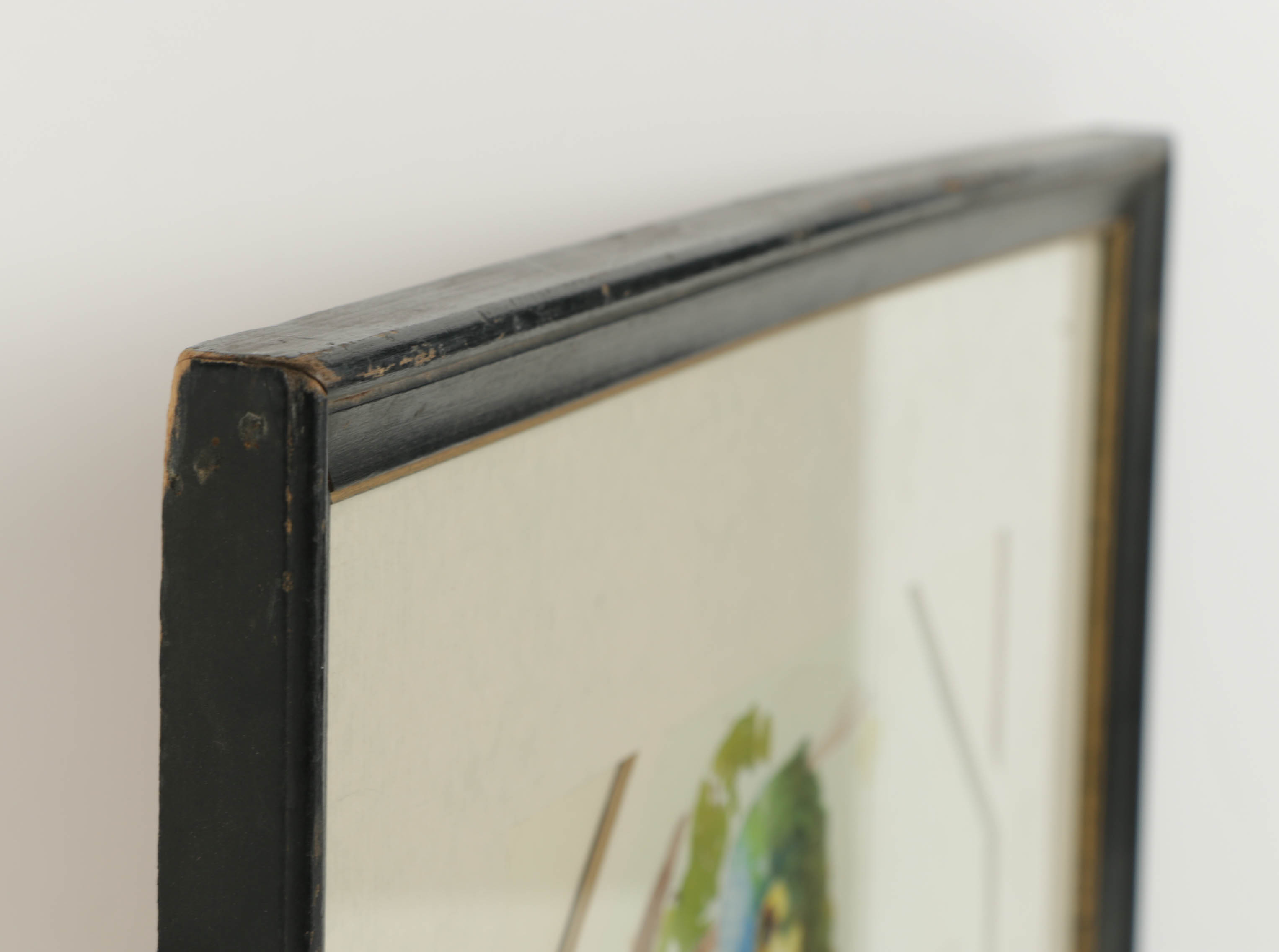 Andorka Watercolor Painting on Paper of a Parrot