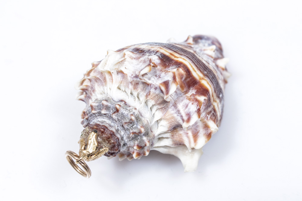 Retro Curio Jewelry Collection