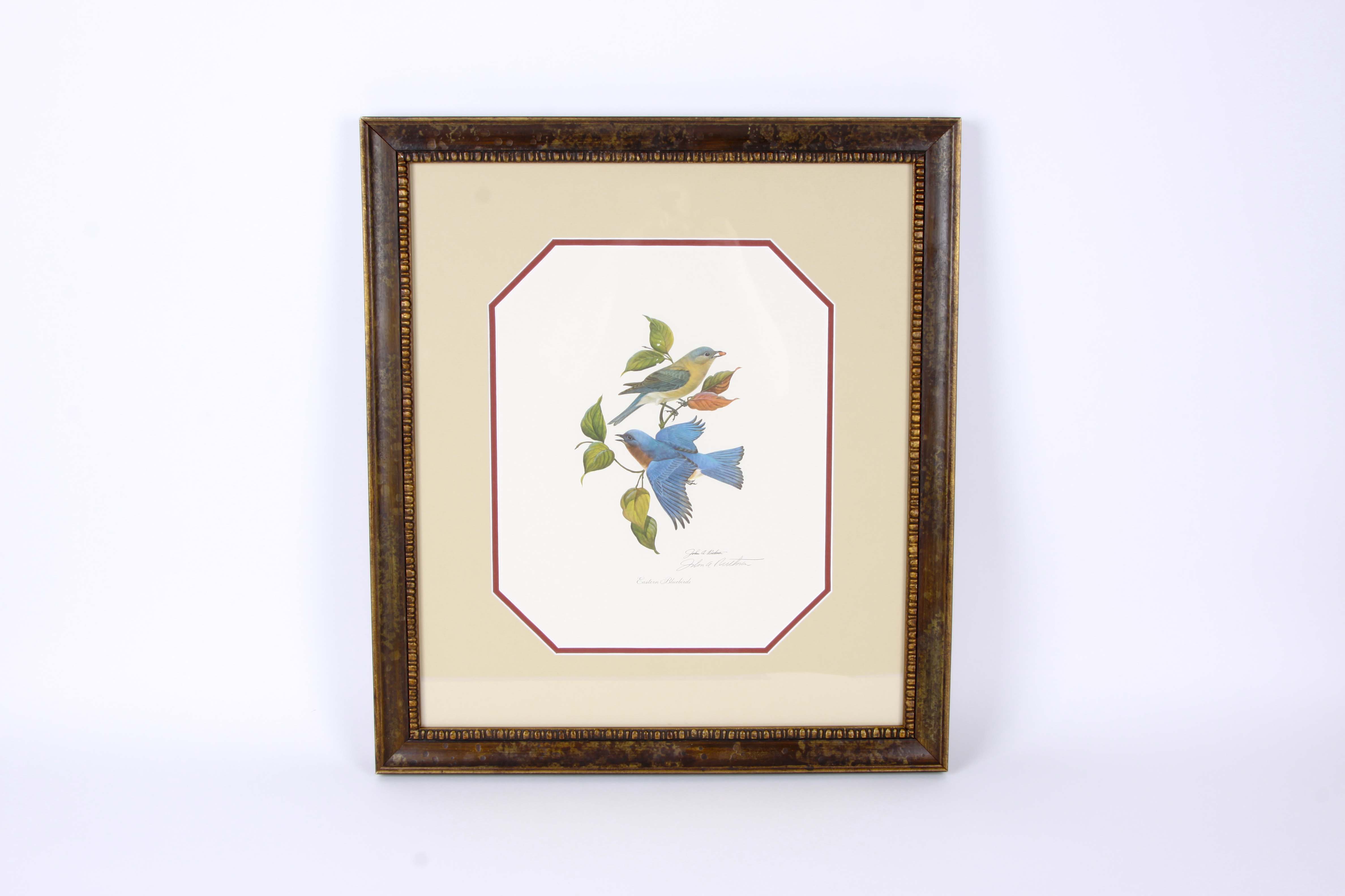 Framed John Ruthven Offset Lithograph "Eastern Bluebirds"