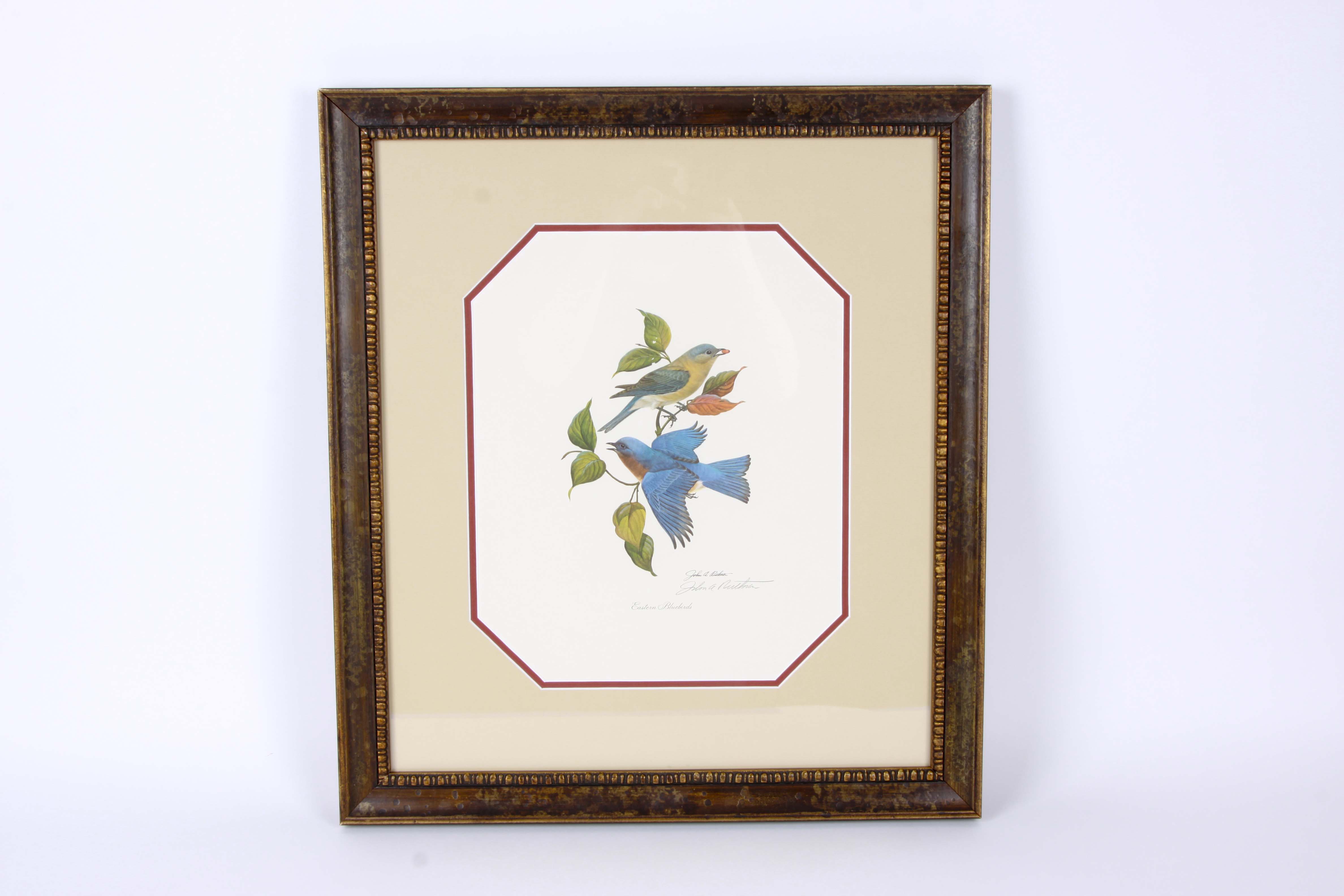 Framed John Ruthven Offset Lithograph "Eastern Bluebirds"