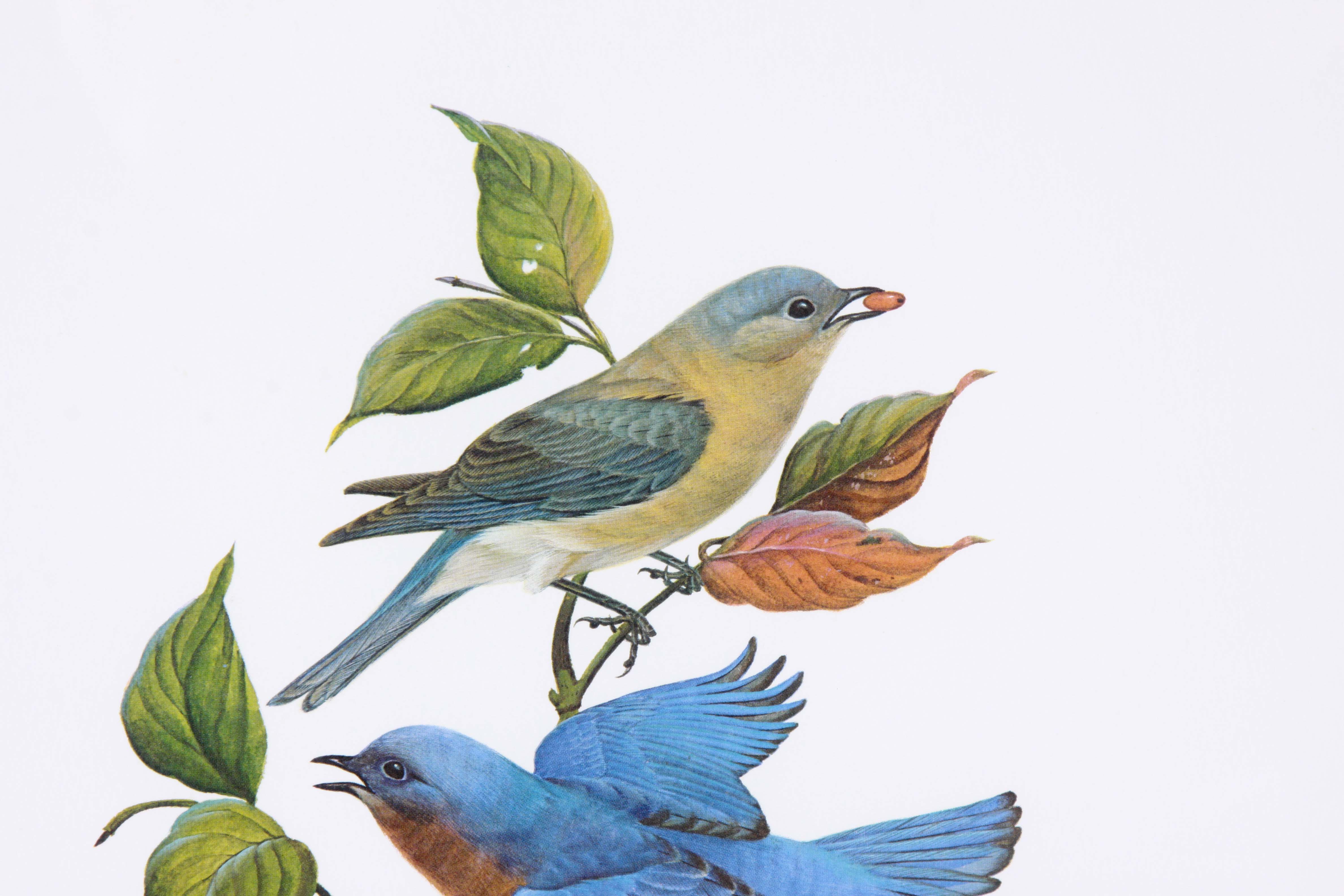 Framed John Ruthven Offset Lithograph "Eastern Bluebirds"