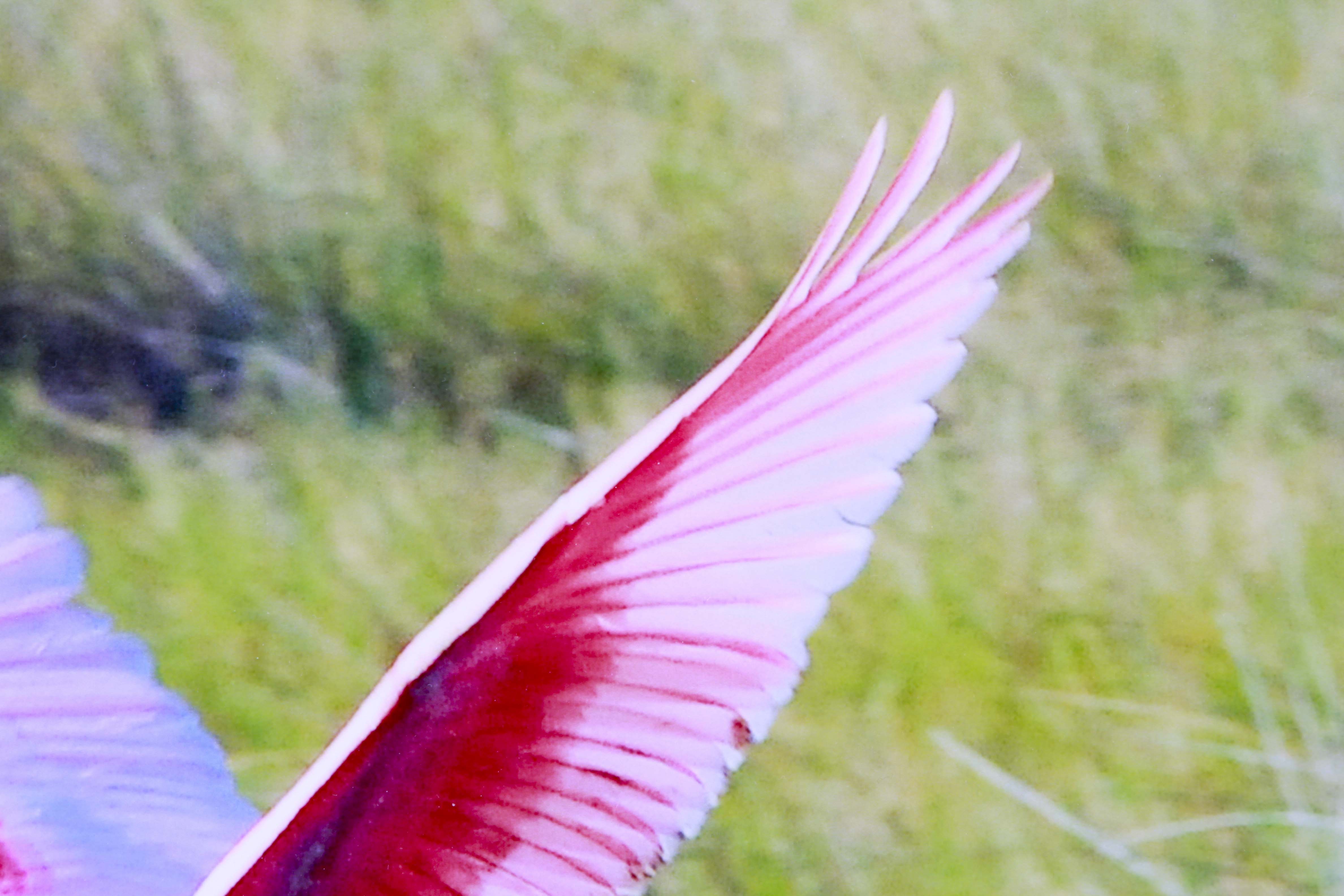 Original Photography by Herm Wallace and Jan Spaulding