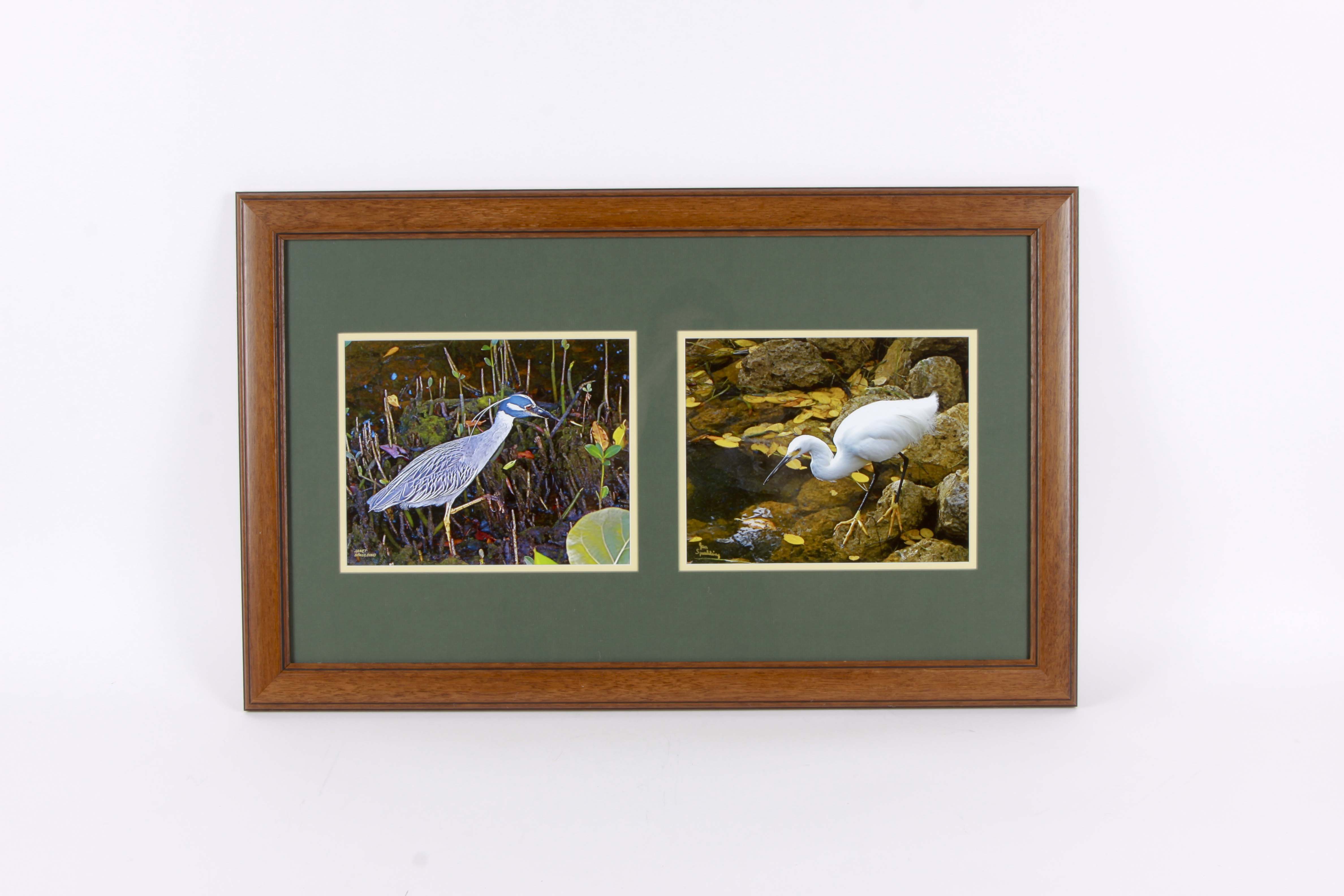 Jan Spaulding Nature Photography of Two Water Birds