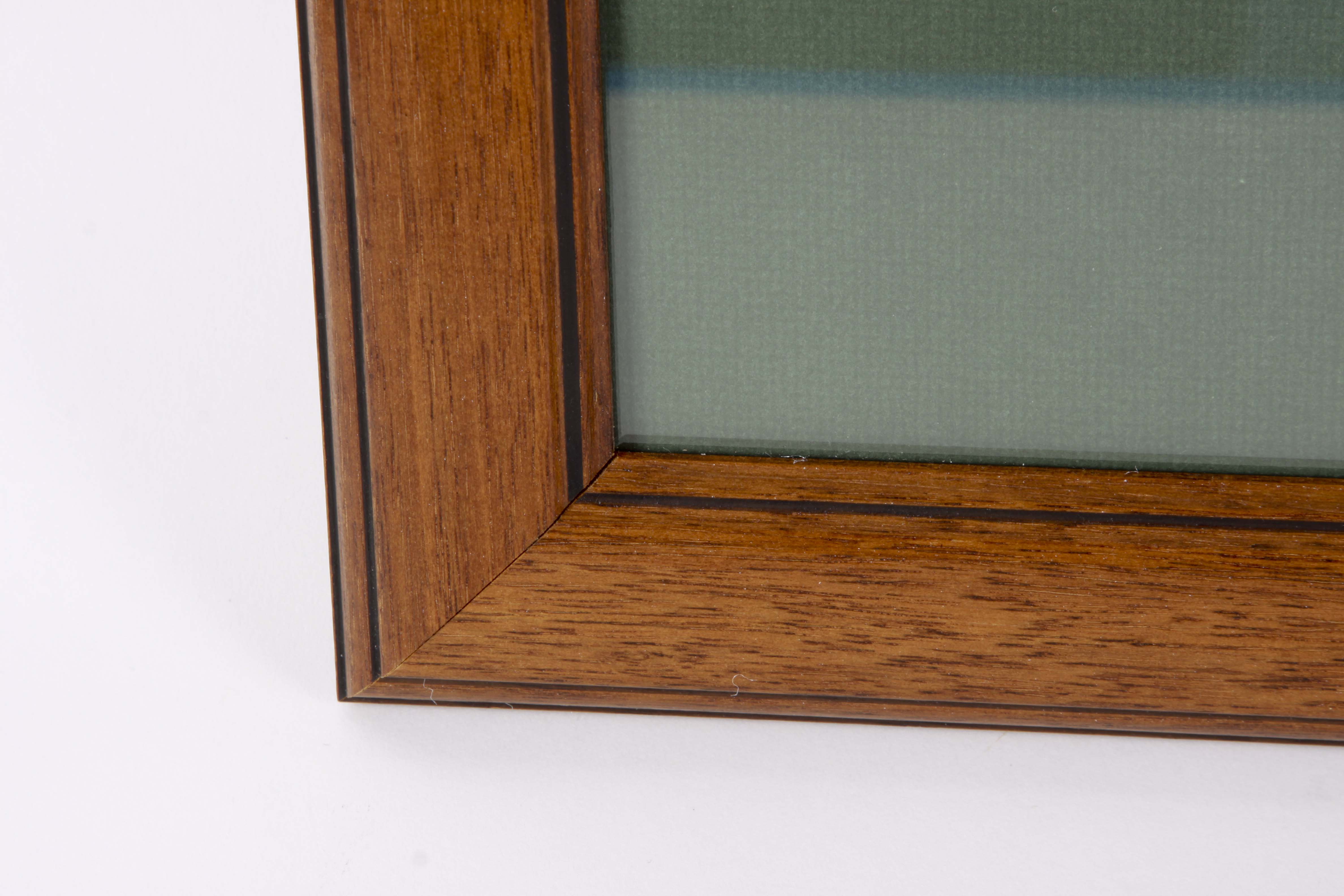 Jan Spaulding Nature Photography of Two Water Birds