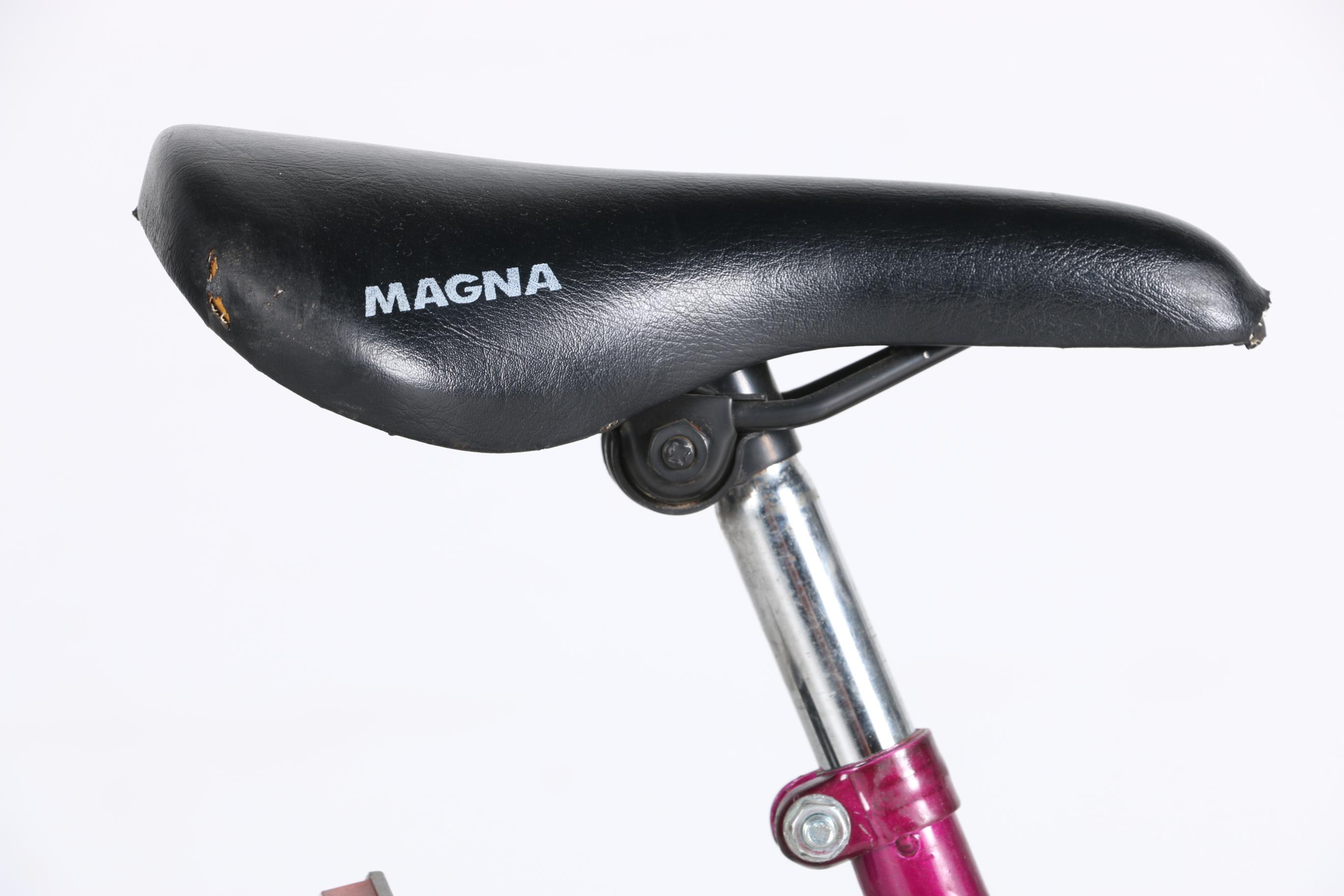 Magna Grand Ledge Hardtail Mountain Bike