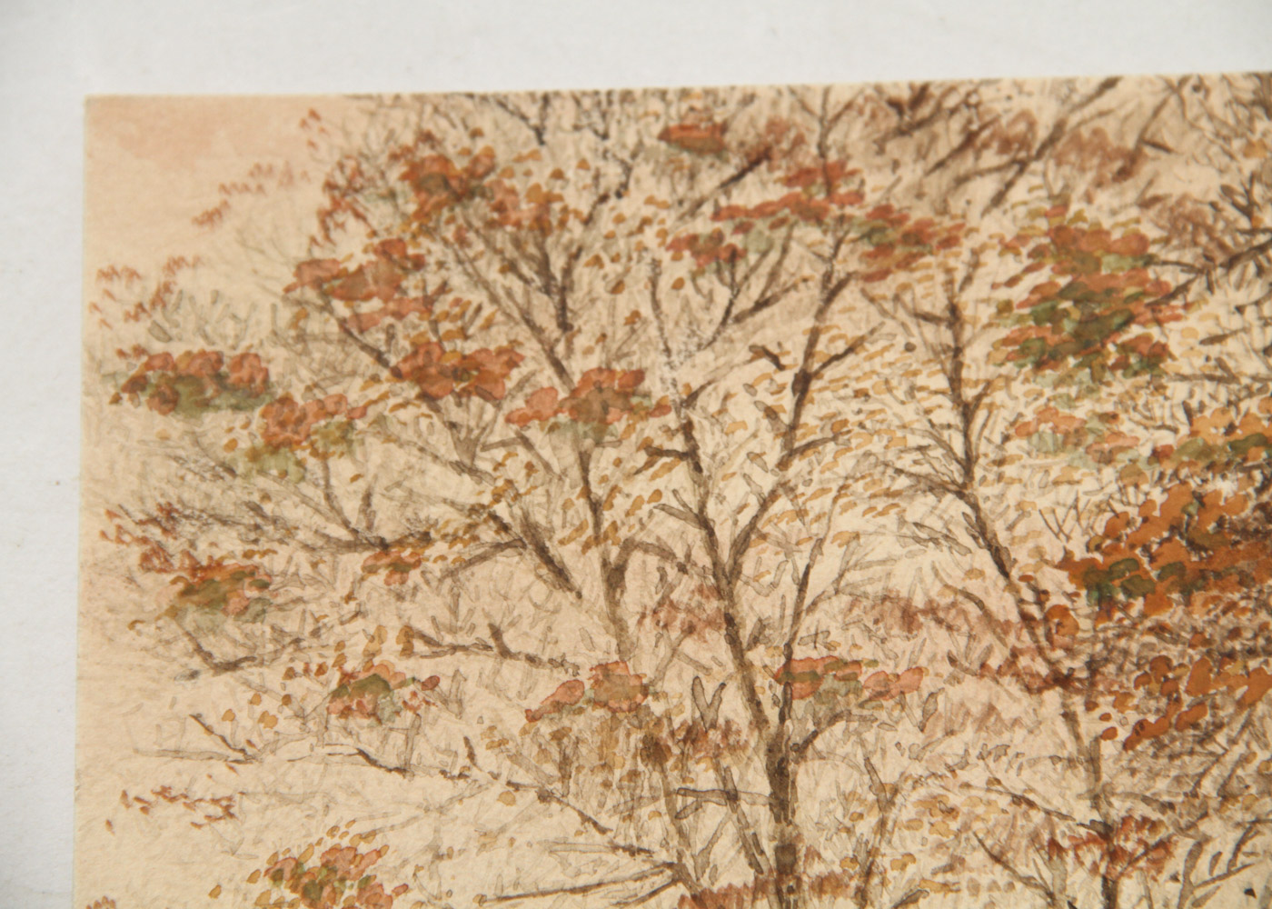 W. Freelto Watercolor Painting on Paperboard "Autumn, Near Strawberry Hill"