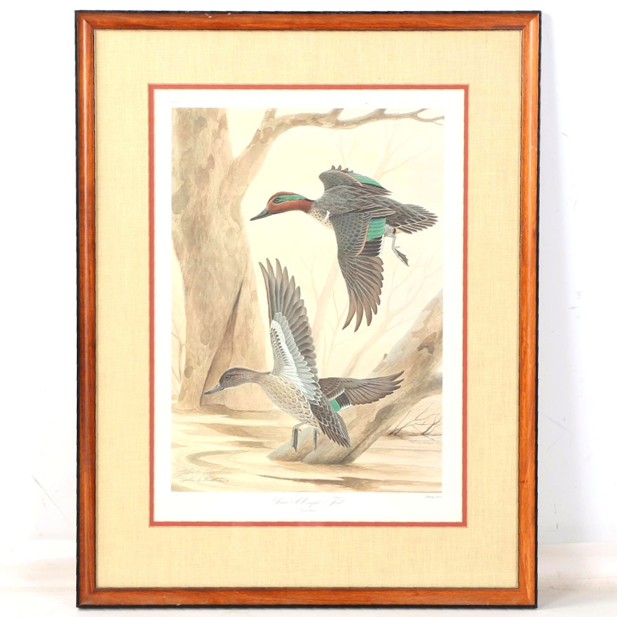 John A. Ruthven Limited Edition Offset Lithograph "Green-Winged Teal"