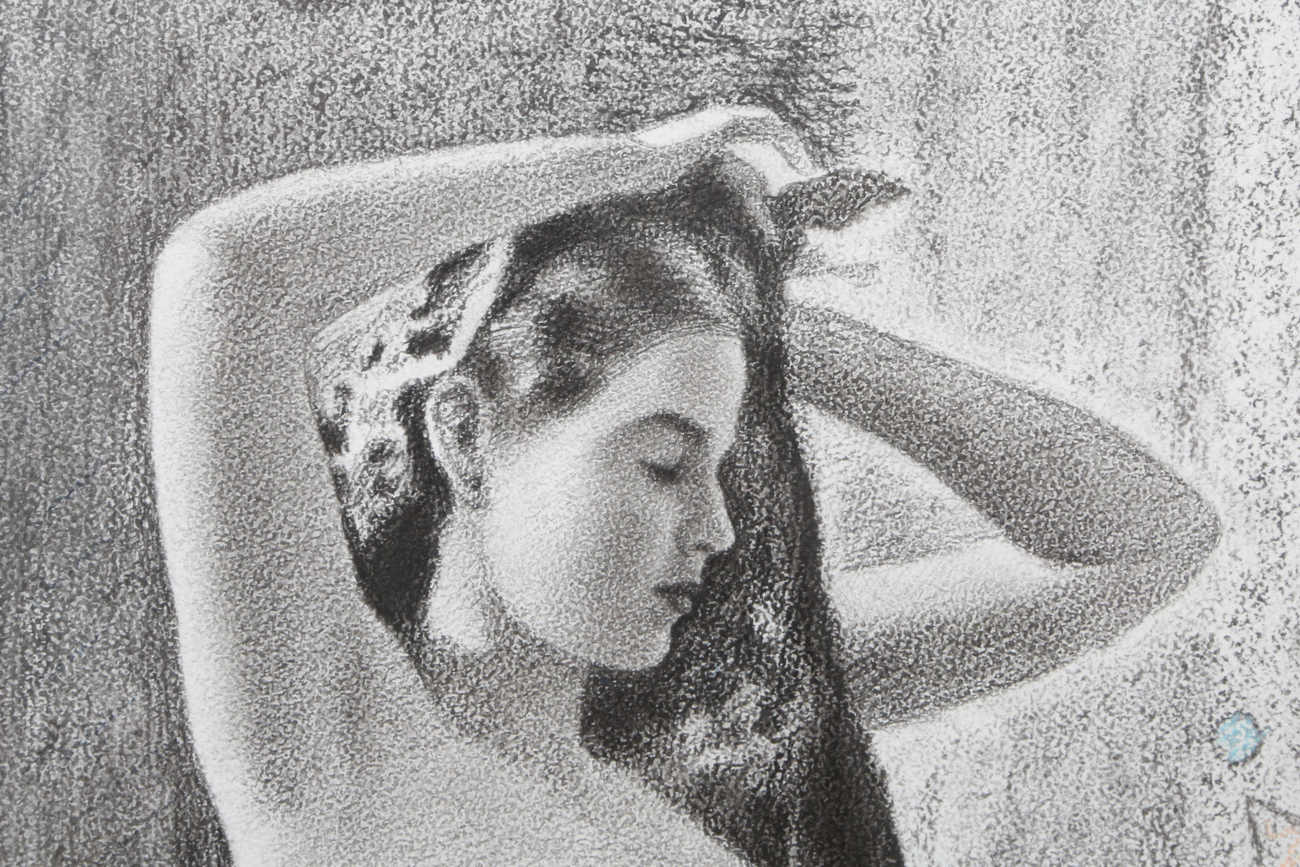 Martin Pescador Original Charcoal Drawing