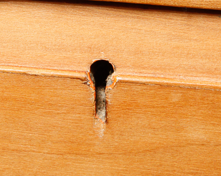 Blonde Walnut Chest of Drawers