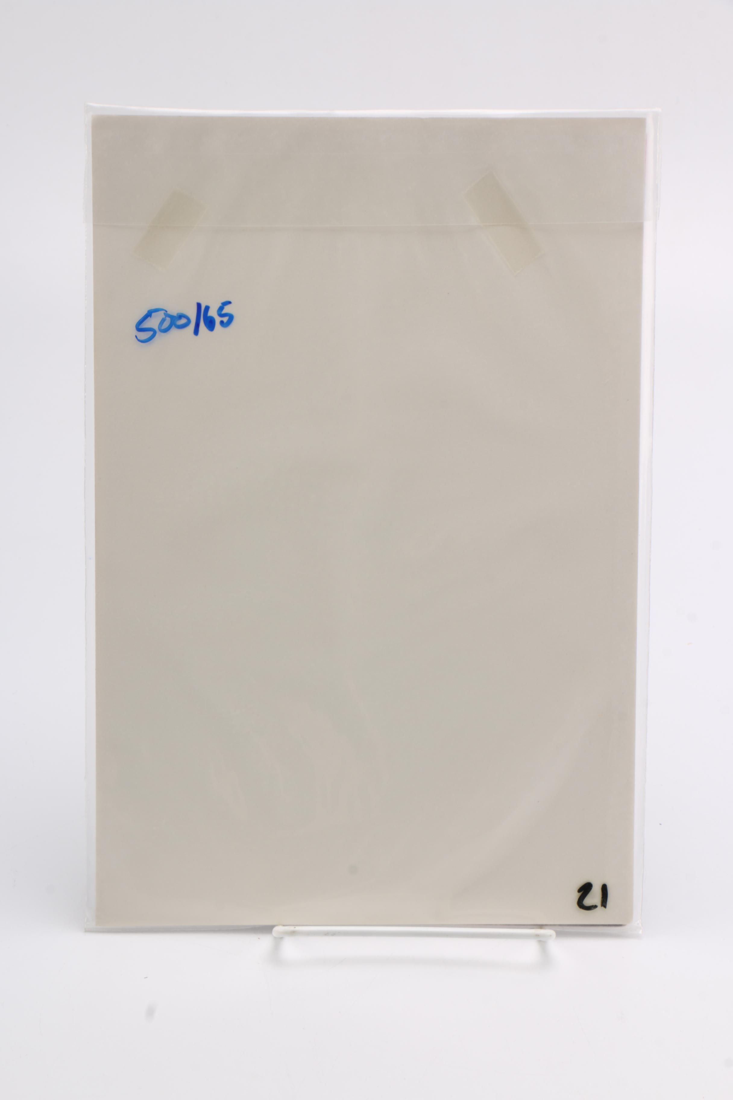 Vintage Comic and Coloring Book Collection Including "Teenage Mutant Ninja Turtles", "Star Trek"