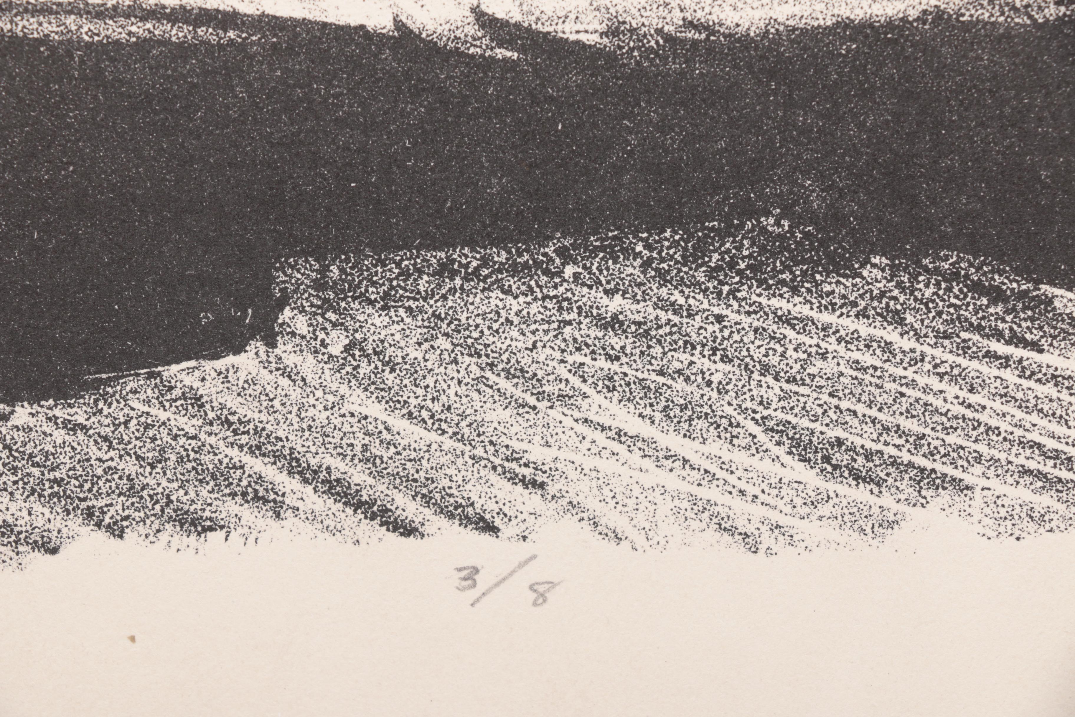 N. Shevlin Limited Edition Lithographs