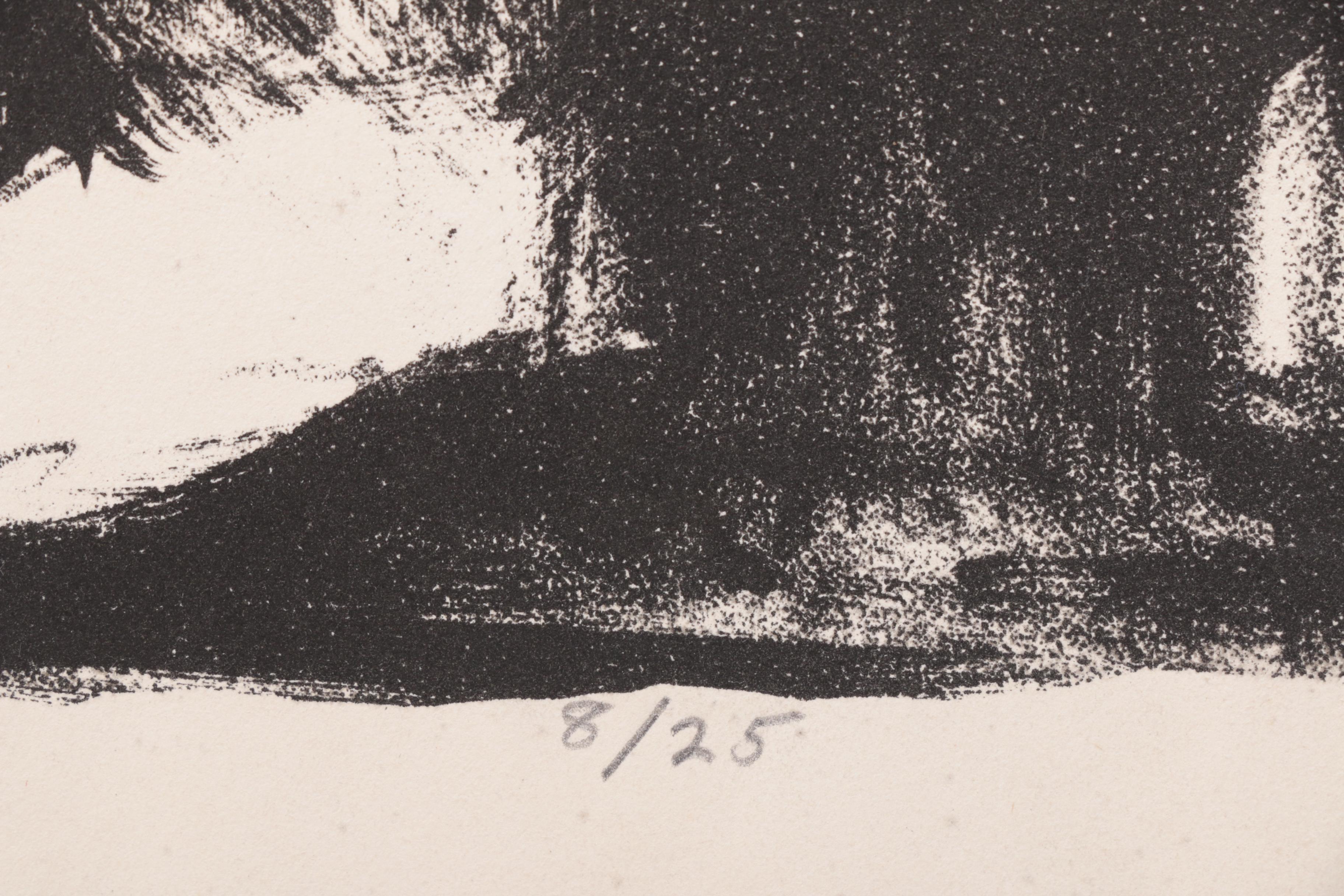 N. Shevlin Limited Edition Lithographs