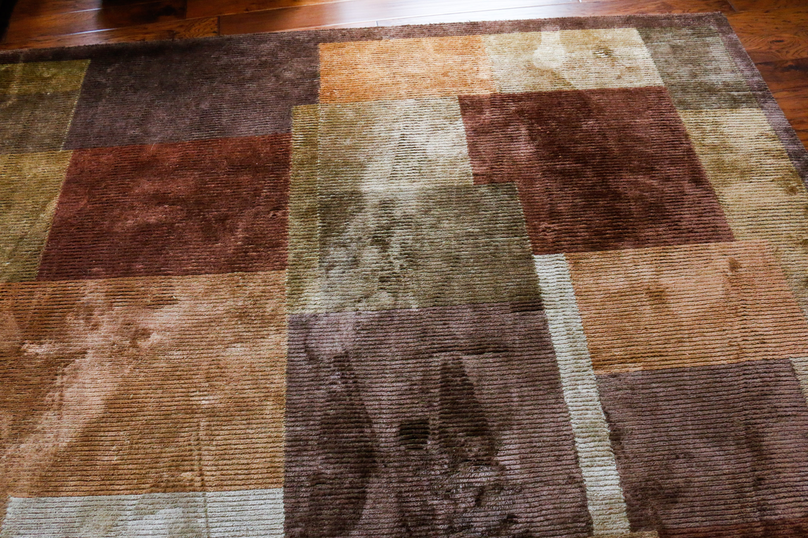 Contemporary Indian Wool and Silk Area Rug From Fiezy