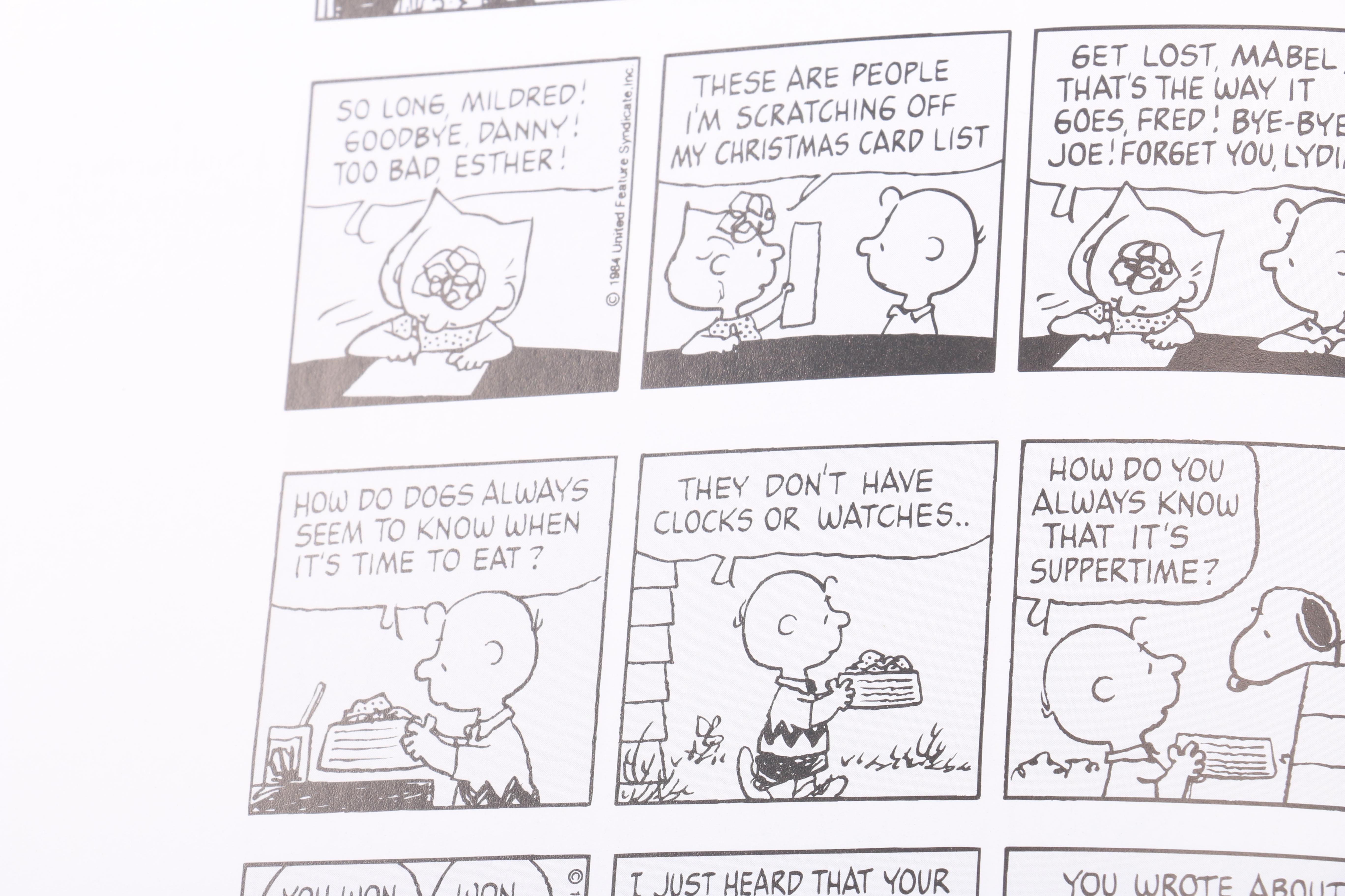 Vintage "Peanuts" Comic Collection Books