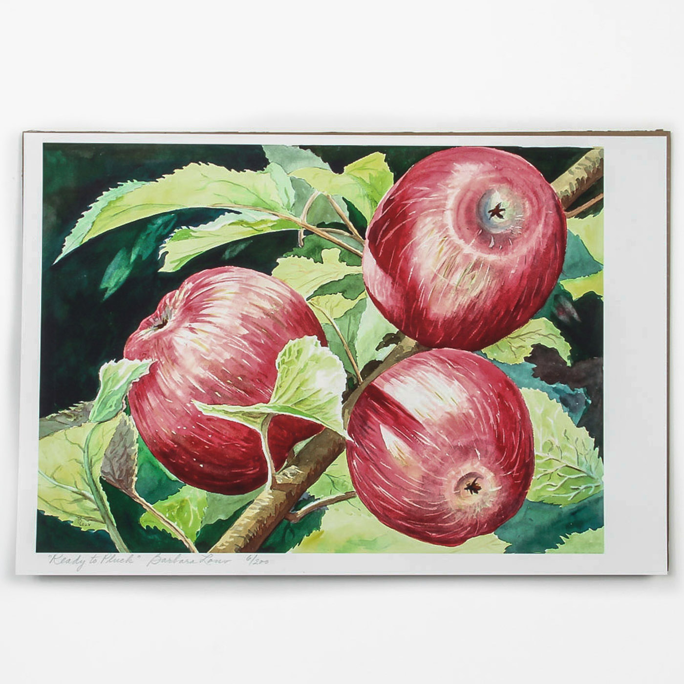 Barbara Louv Limited Edition Giclée on Paper "Ready to Pluck"