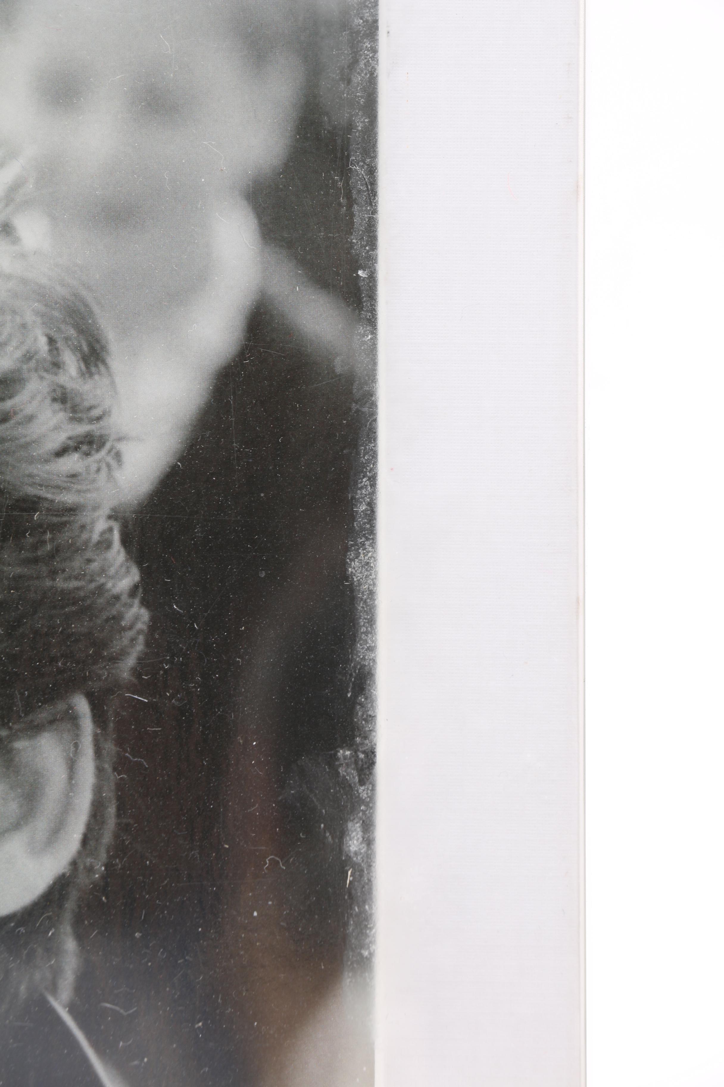 Traveling Wilburys LP Box Set and George Harrison Documentary