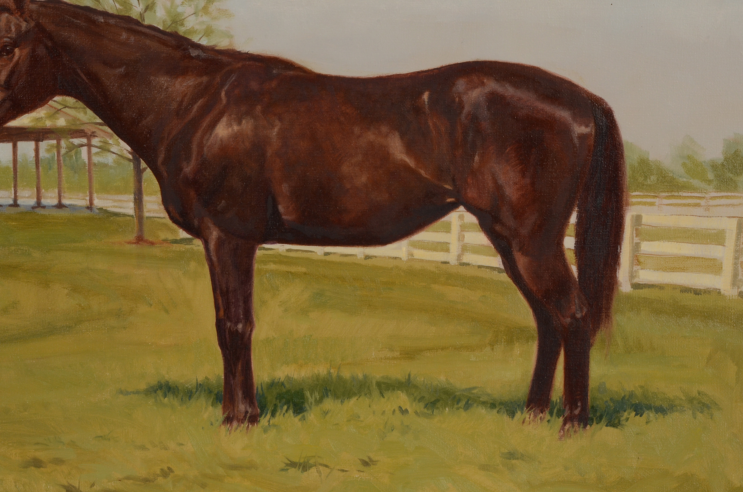 Larry Wheeler Original Equine Portrait Oil on Canvas