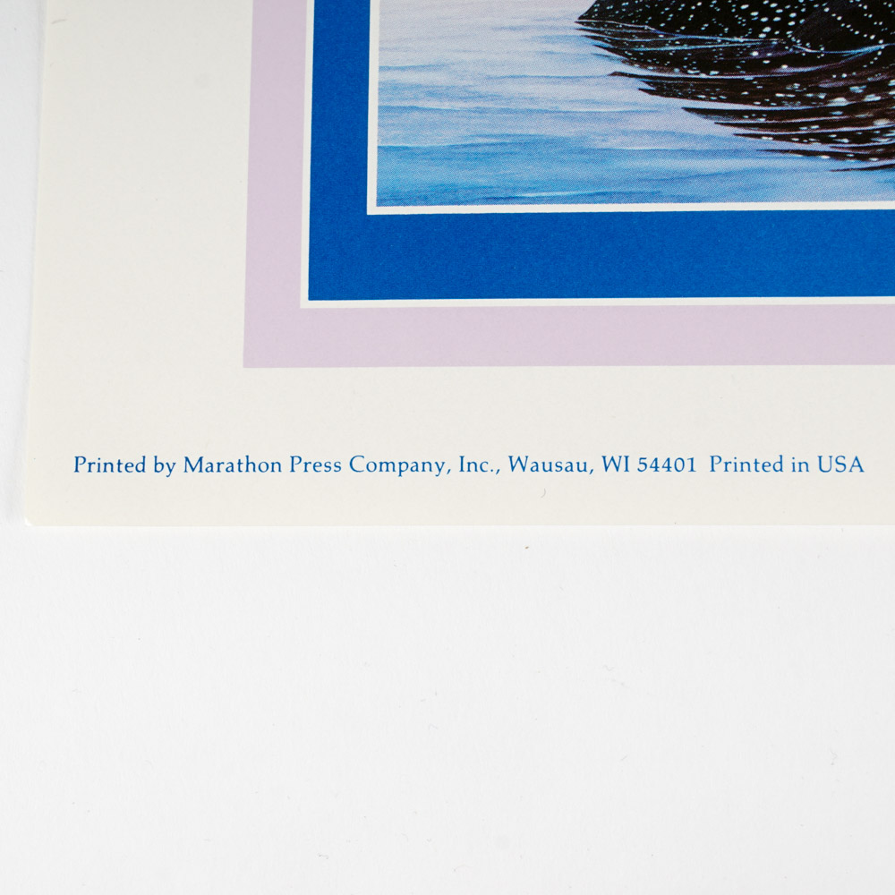 After Richard Van Order Signed and Framed Loon Prints