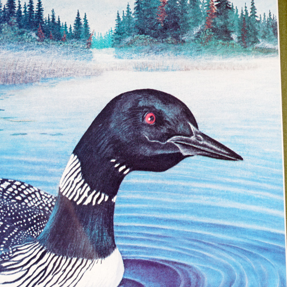 After Richard Van Order Signed and Framed Loon Prints