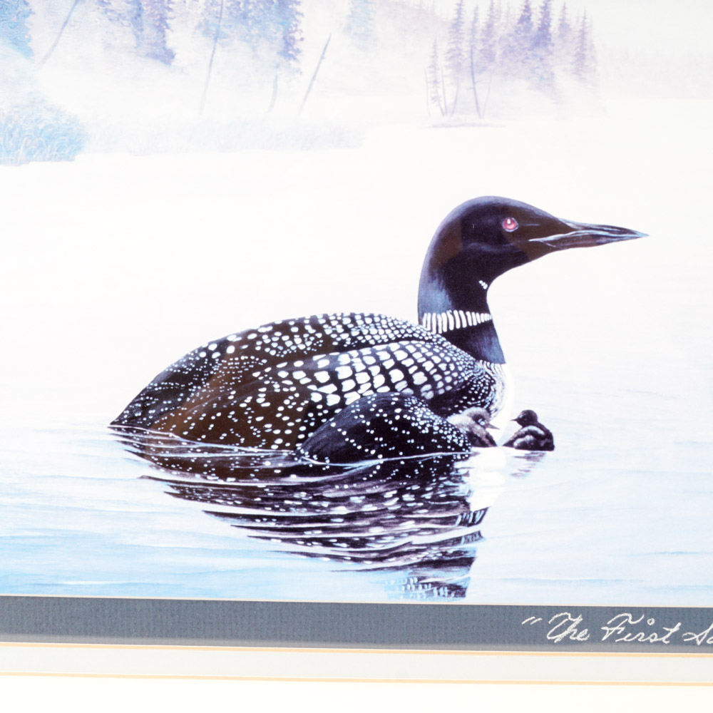 After Richard Van Order Signed and Framed Loon Prints