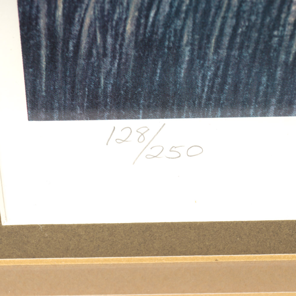 After Richard Van Order Signed and Numbered Bird Prints