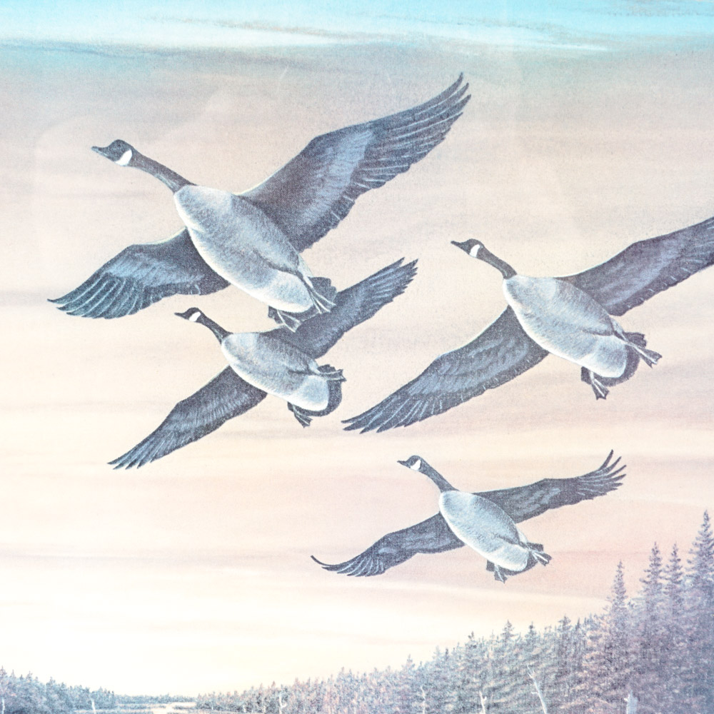 After Richard Van Order Signed and Numbered Bird Prints