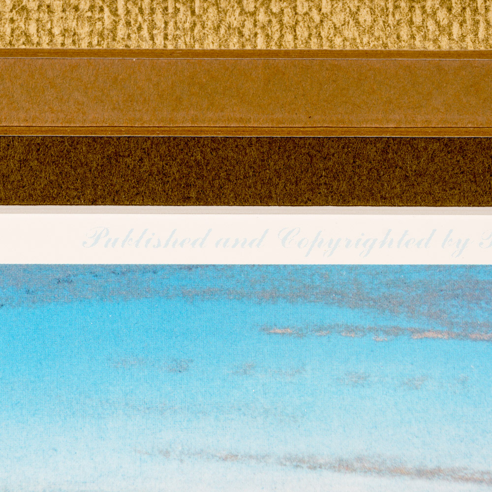 After Richard Van Order Signed and Numbered Bird Prints