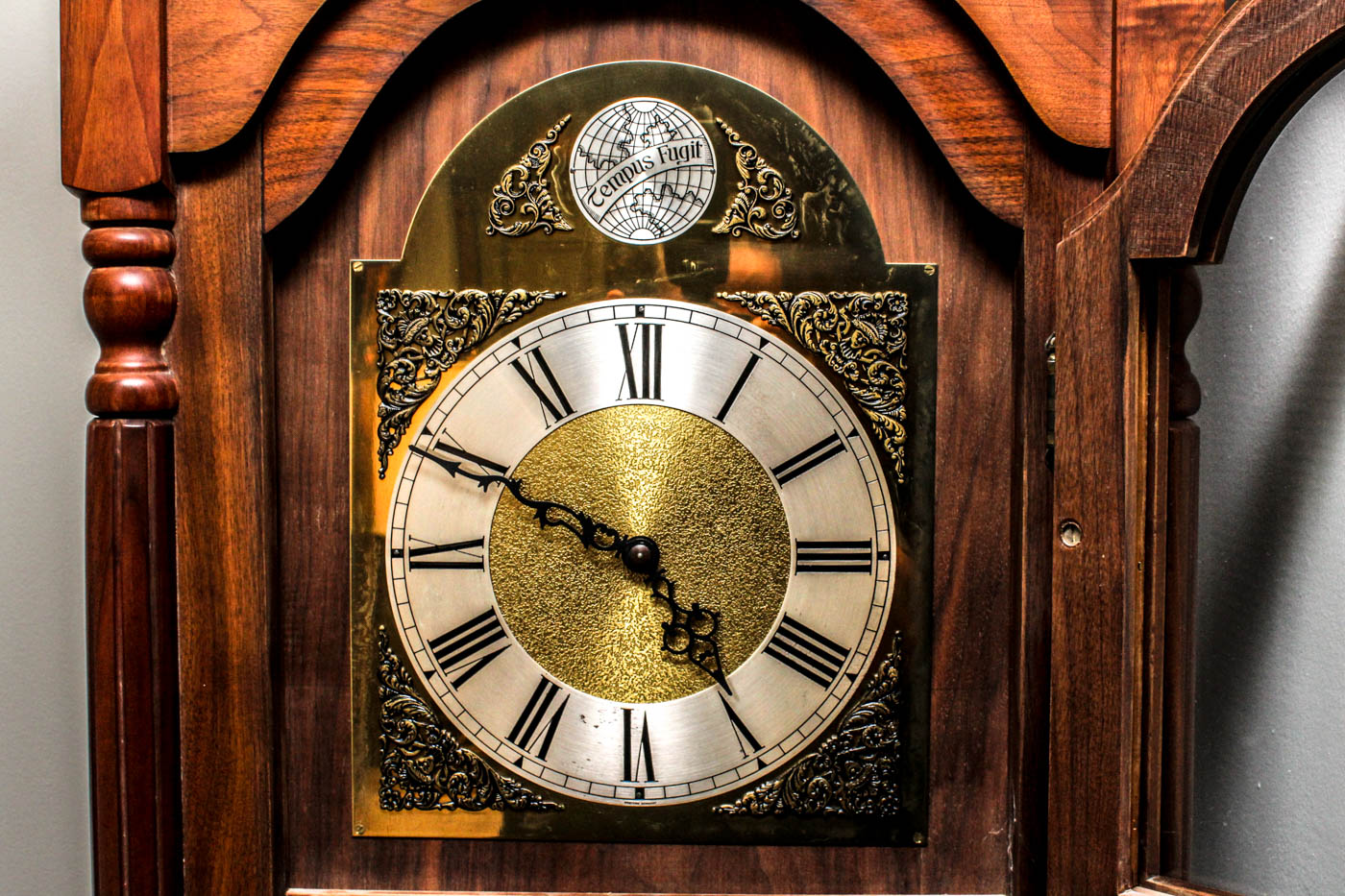Tempus Fugit Grandfather Clock