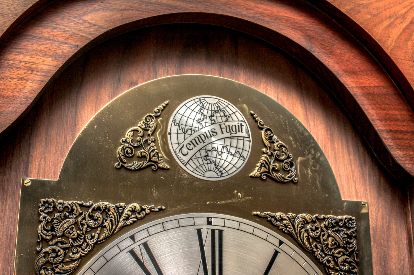 Tempus Fugit Grandfather Clock