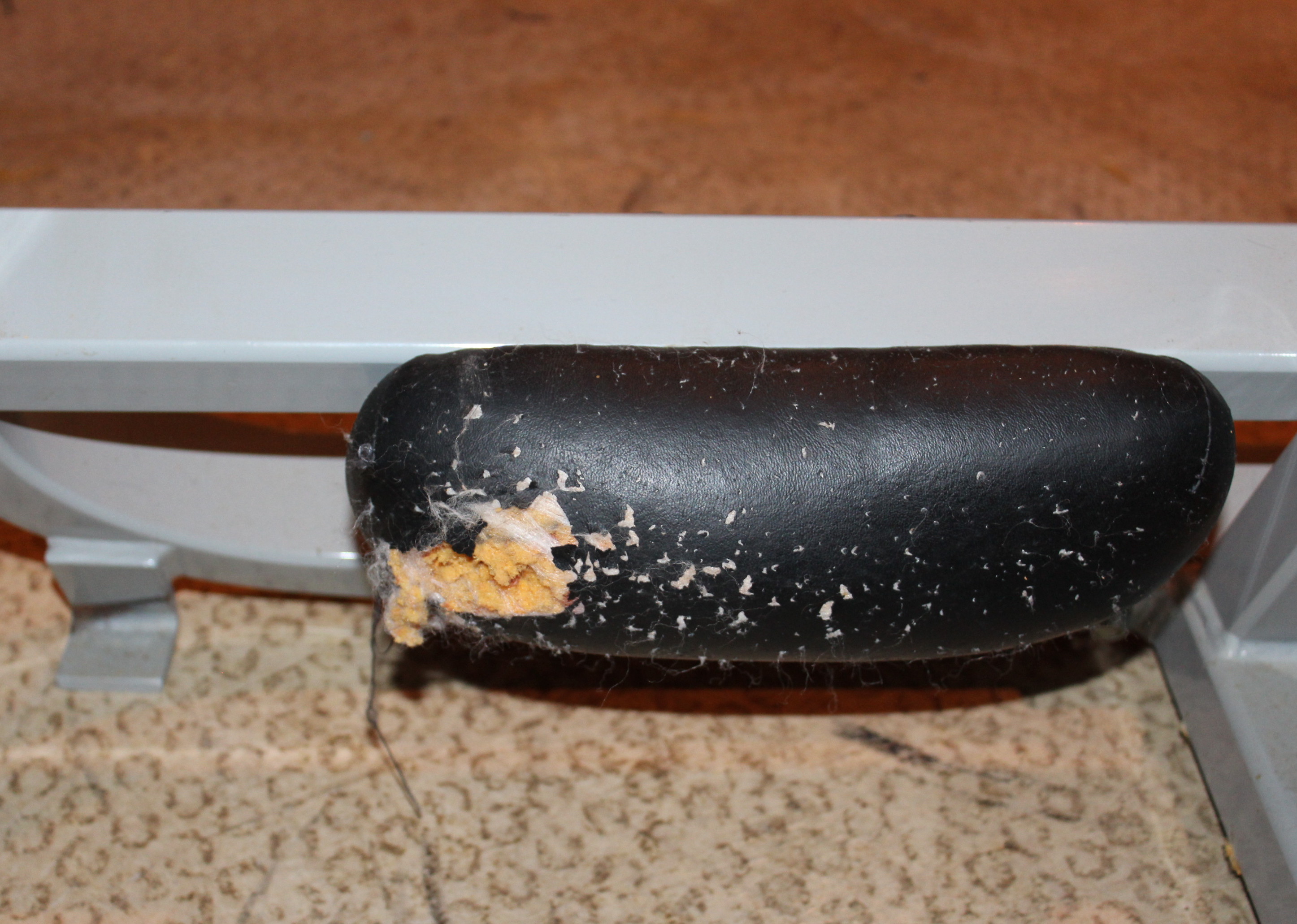 Vintage Exercise Equipment